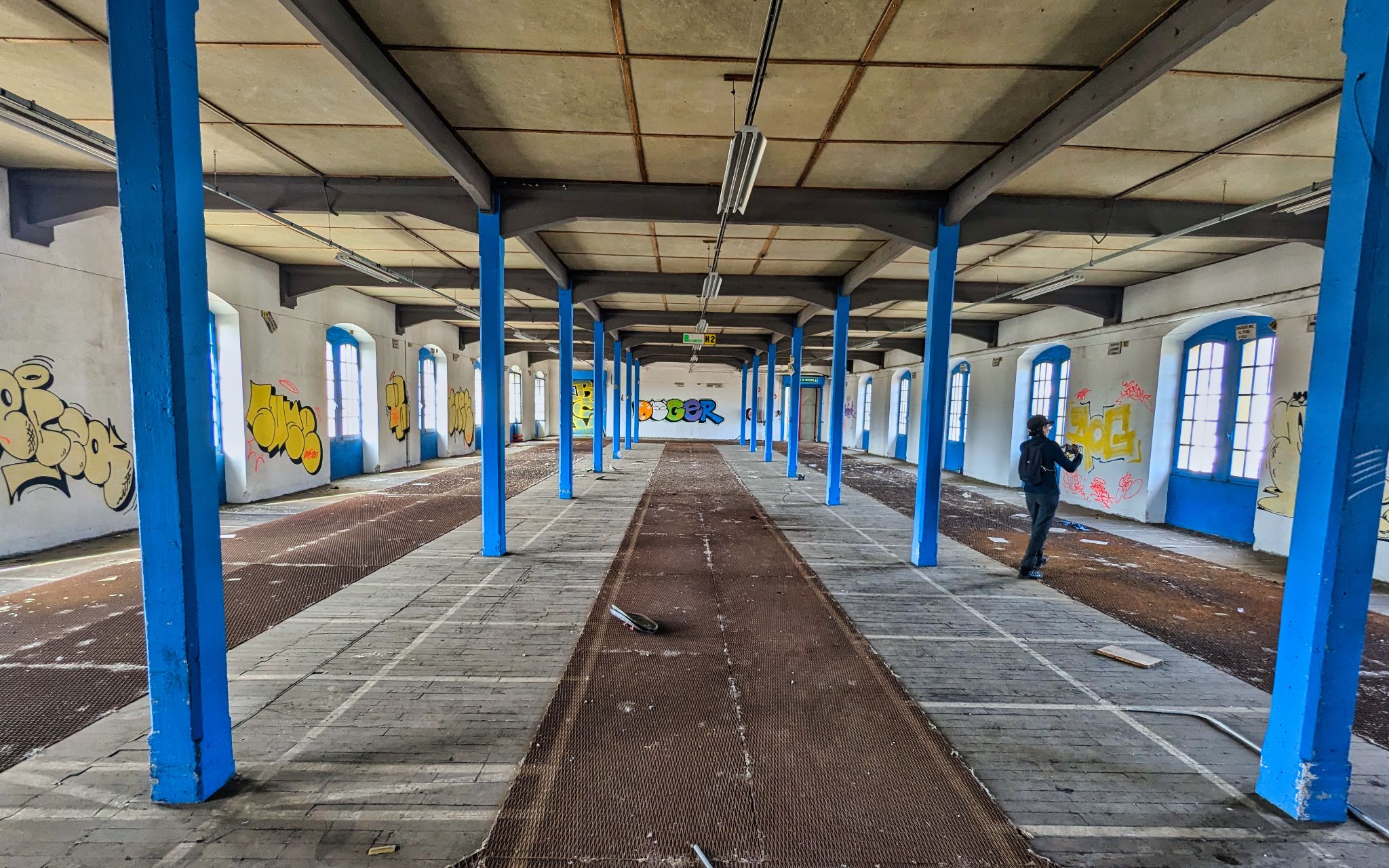 PXL 20241020 104201127