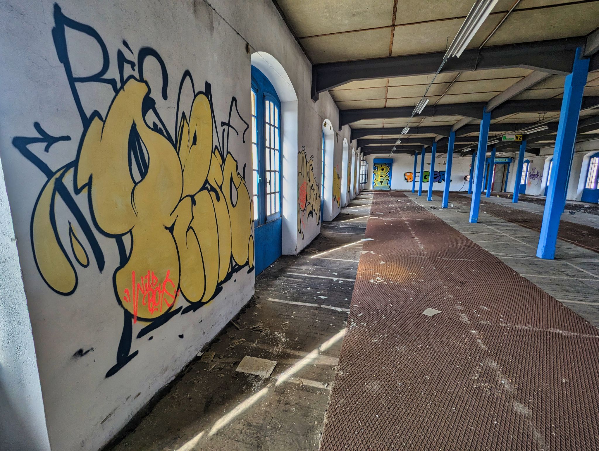 PXL 20241020 104210581