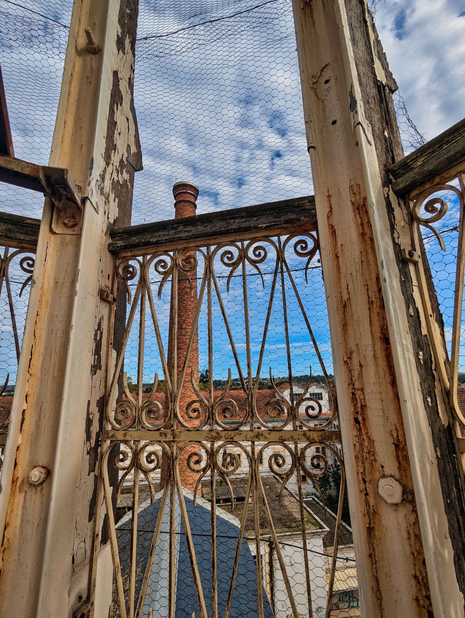 PXL 20241020 110256379