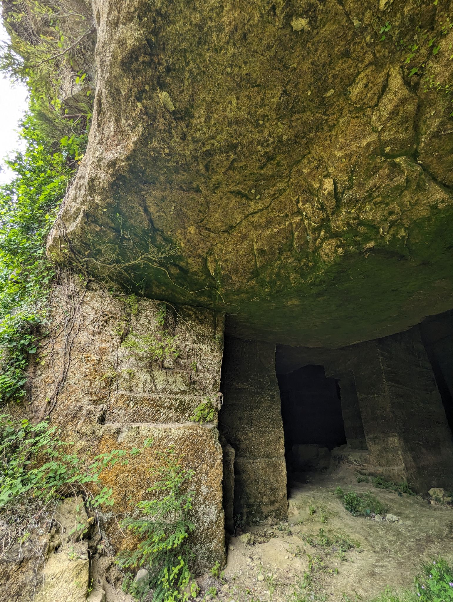 PXL 20240607 110840608