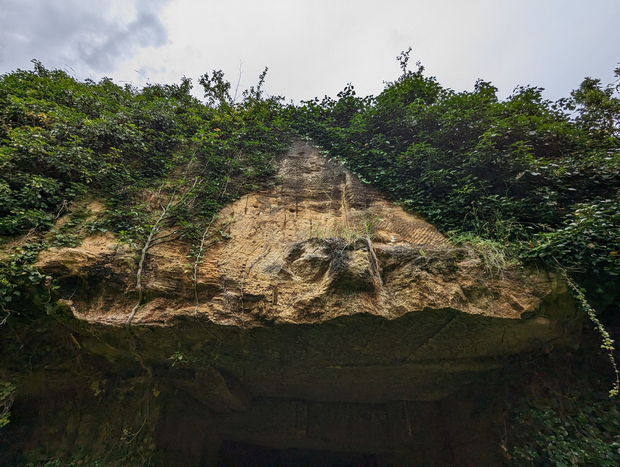 PXL 20240607 111256999