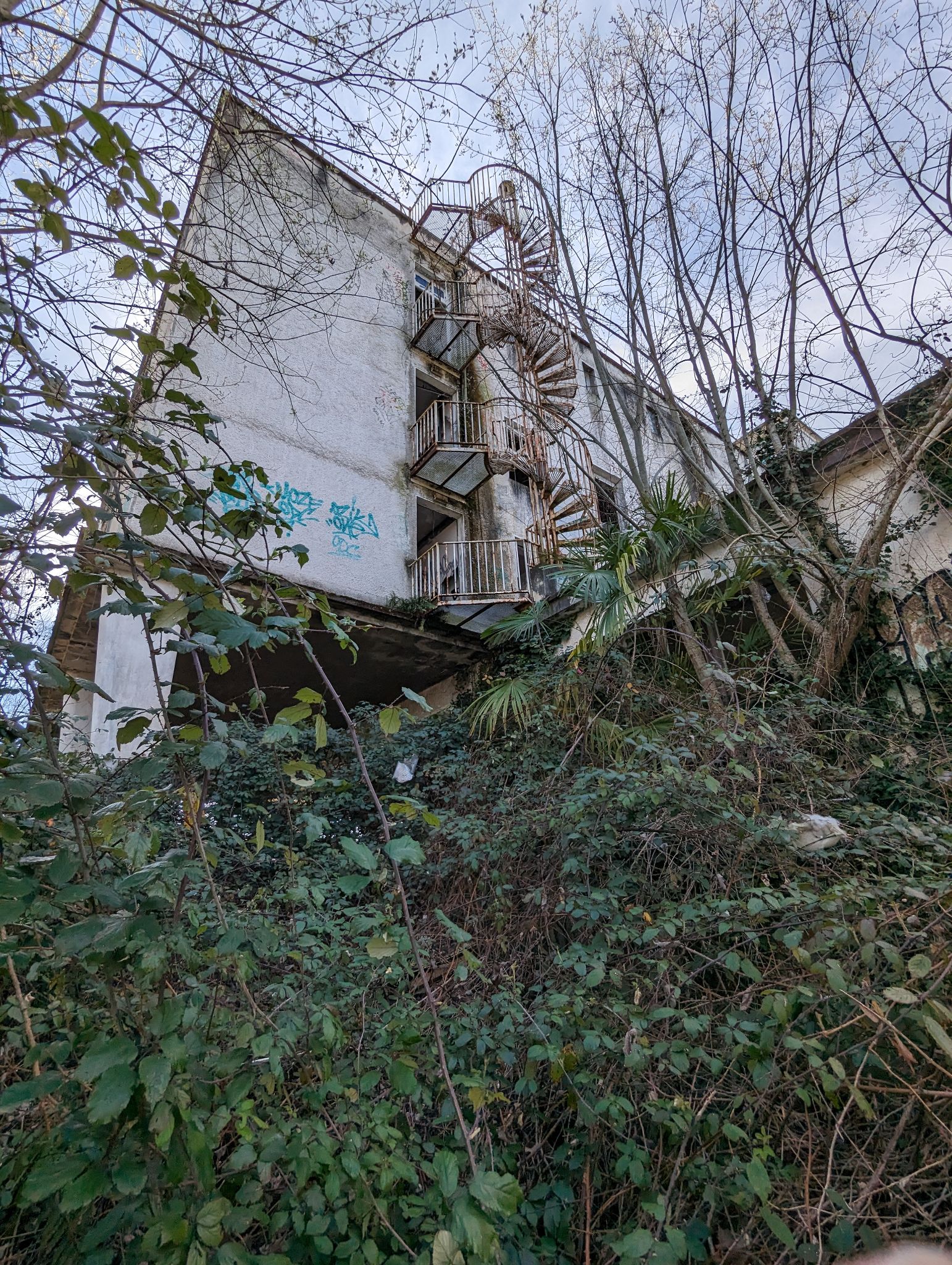 PXL 20240316 125509175