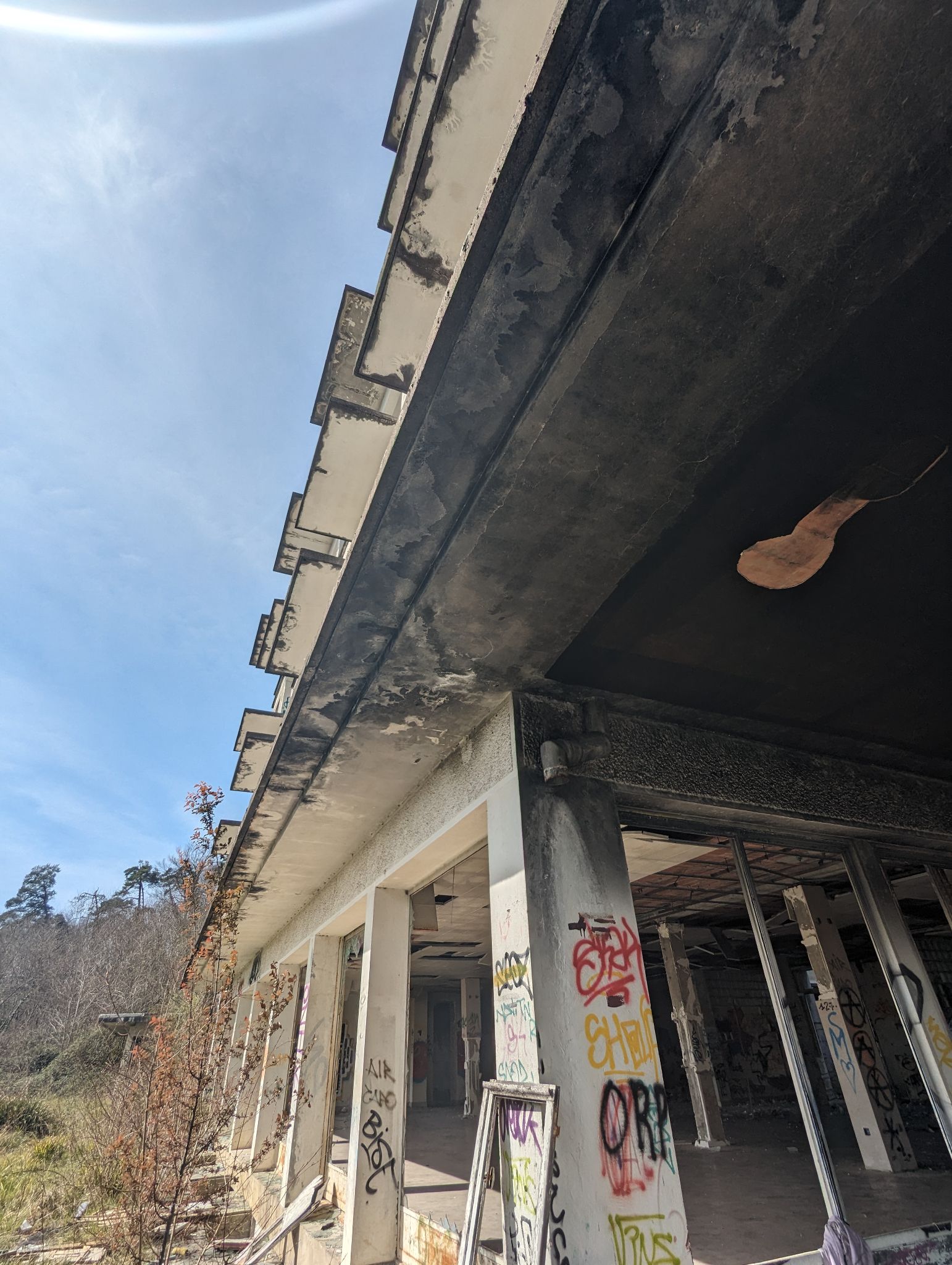 PXL 20240316 132320969