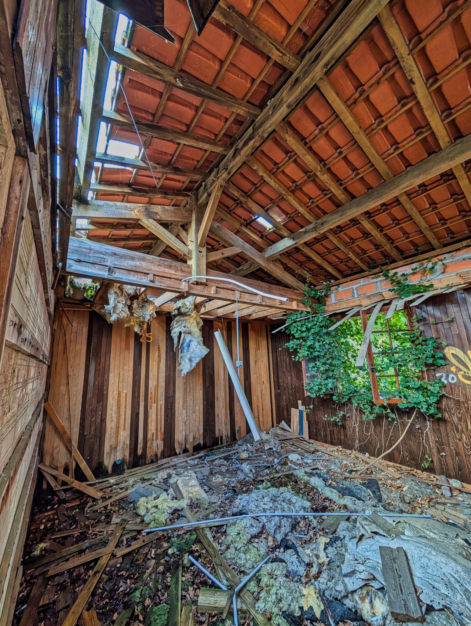 PXL 20250323 145427417