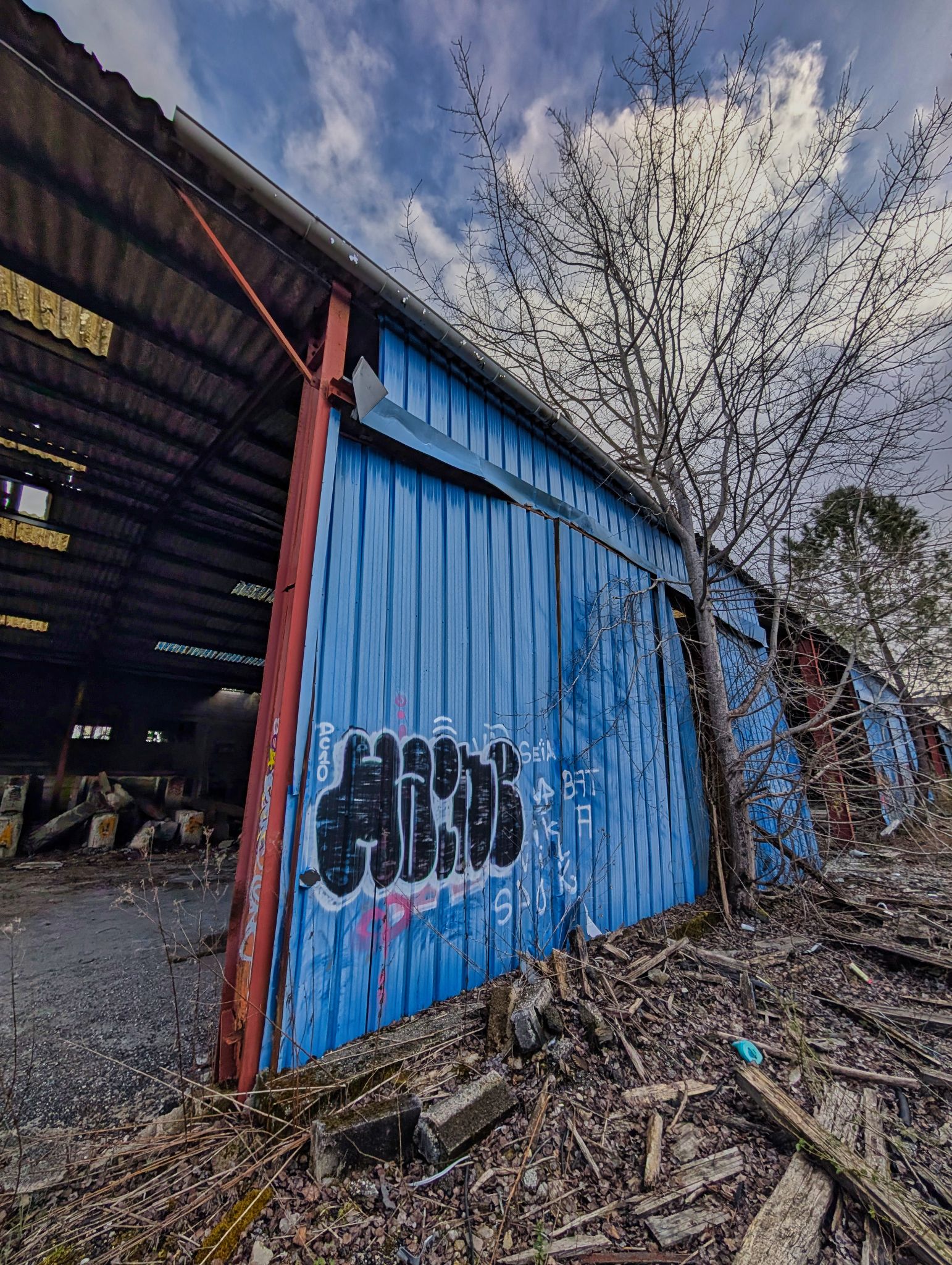 PXL 20250323 150346289