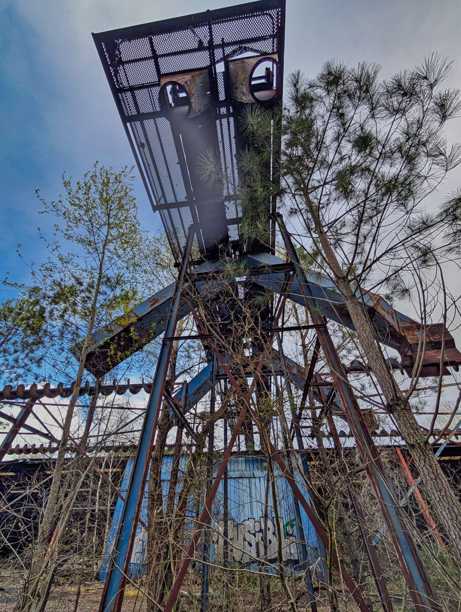 PXL 20250323 150839871