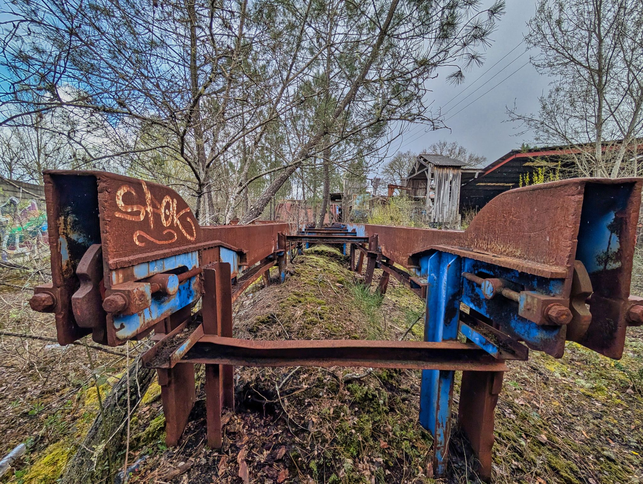 PXL 20250323 151034607