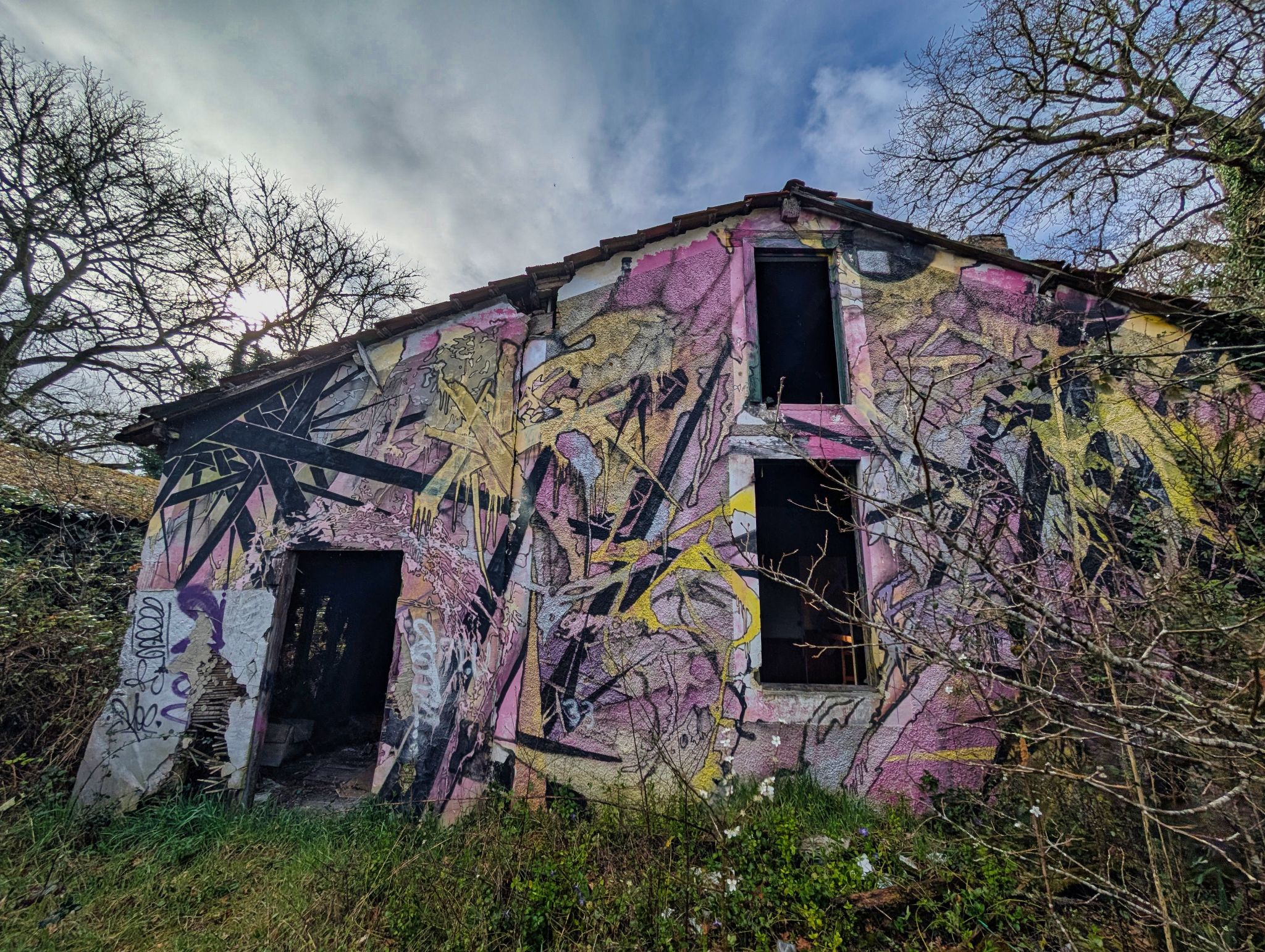 PXL 20250323 154315522