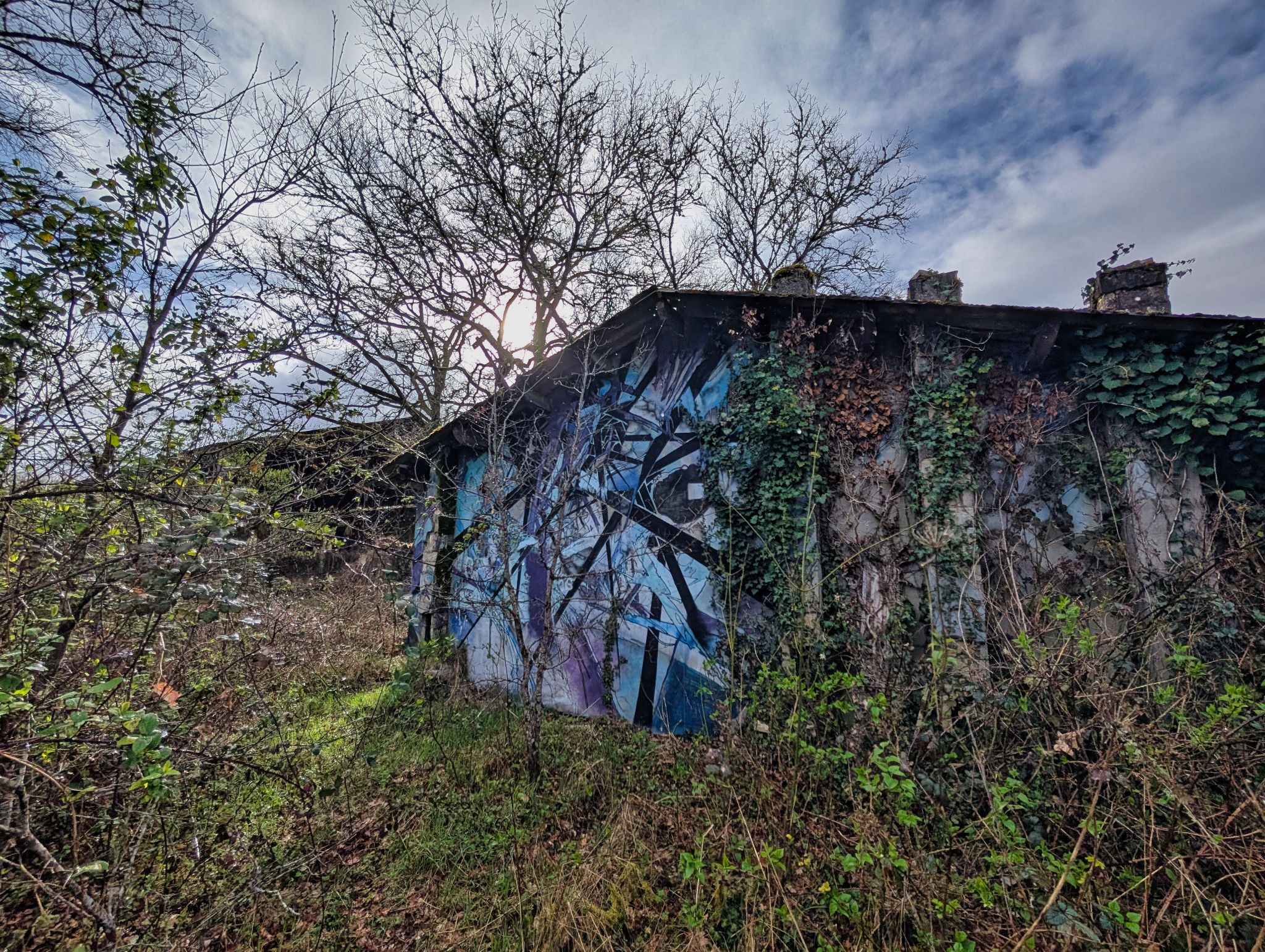 PXL 20250323 154413364