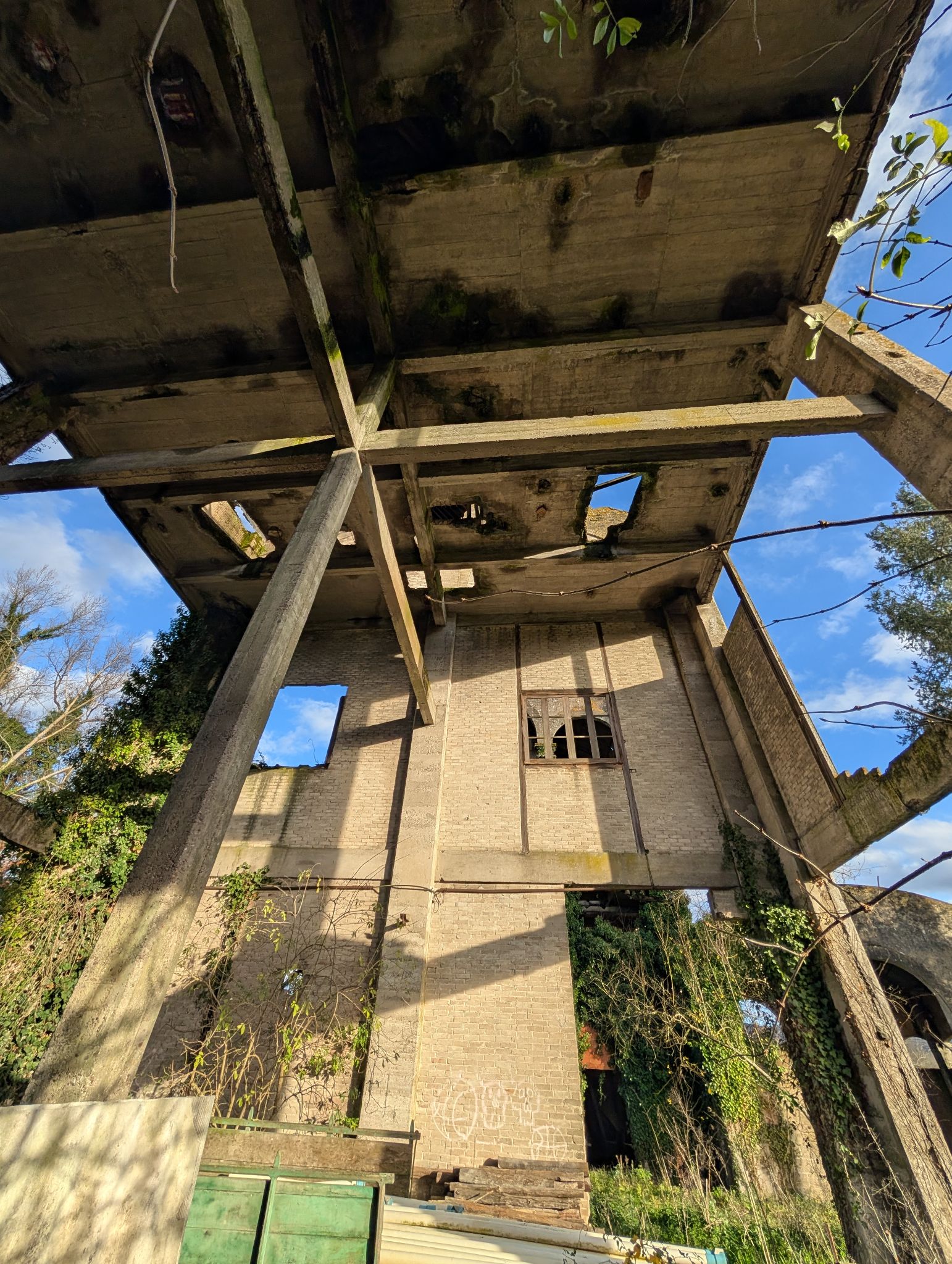 PXL 20251212 143116016