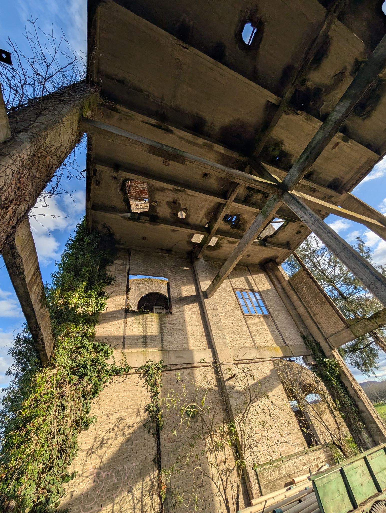 PXL 20251212 143129702