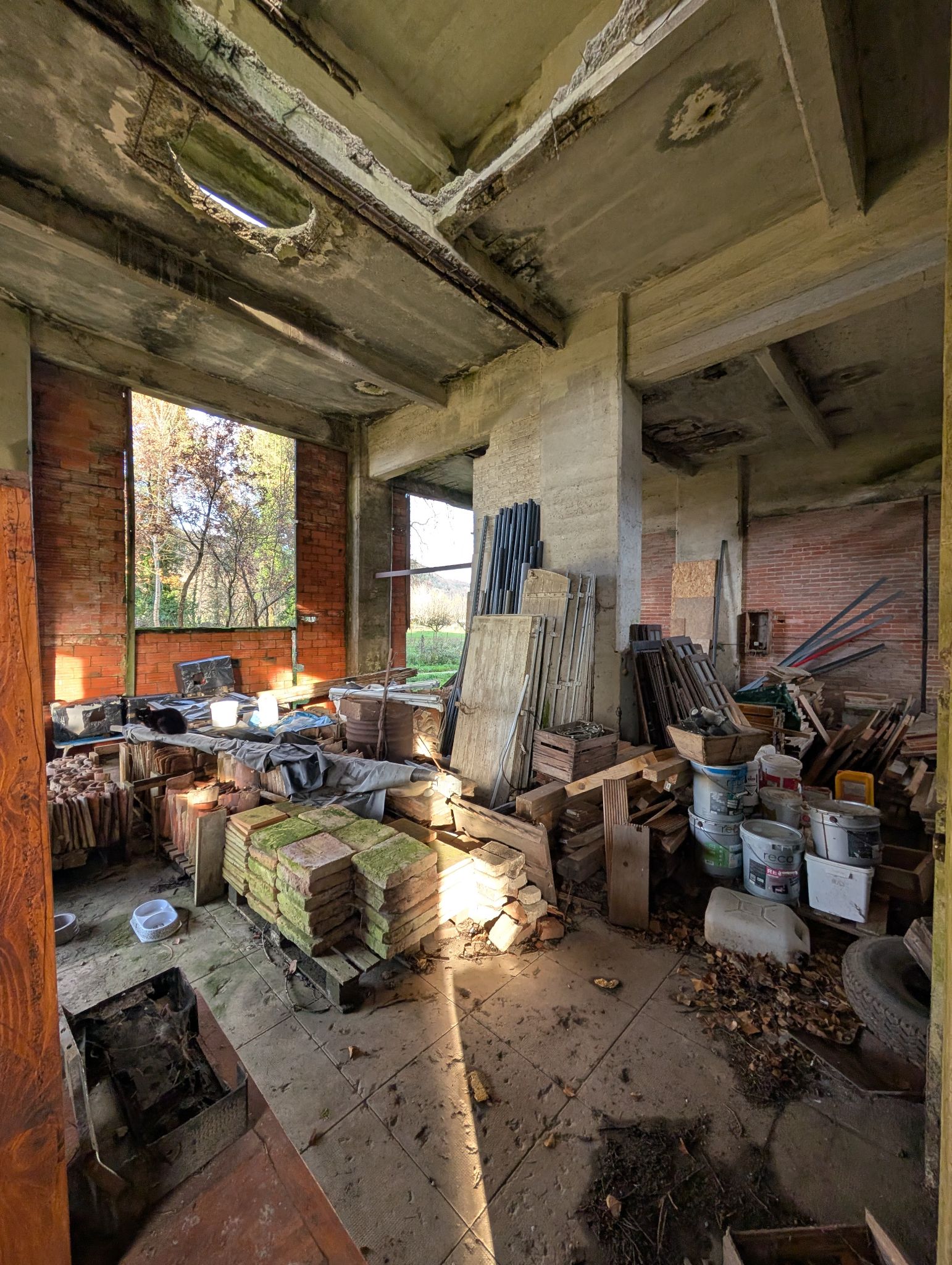 PXL 20251212 143427666