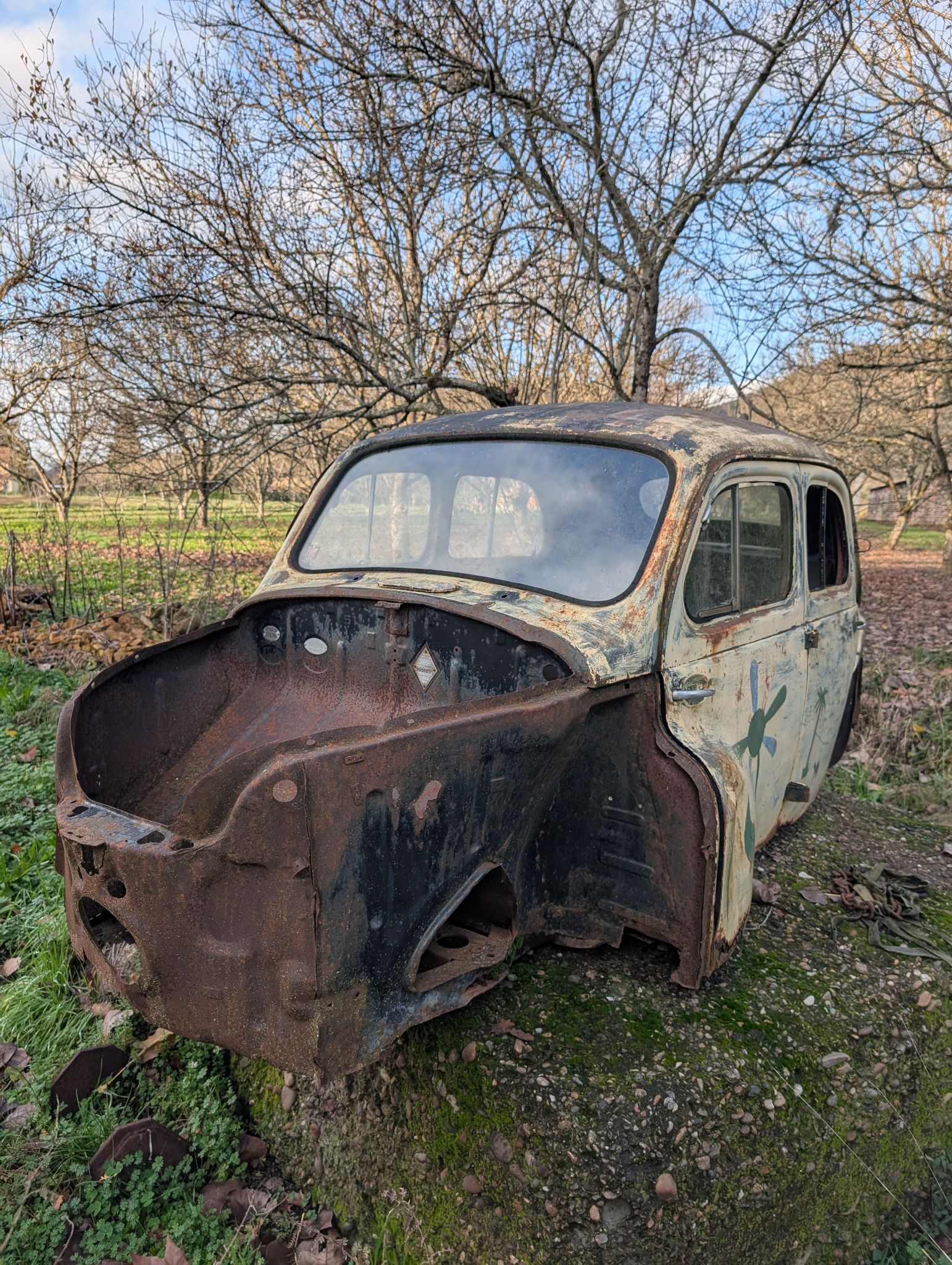 PXL 20251212 143530152