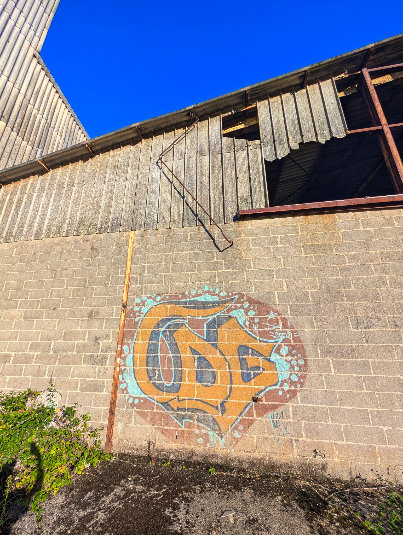 PXL 20250930 154216571