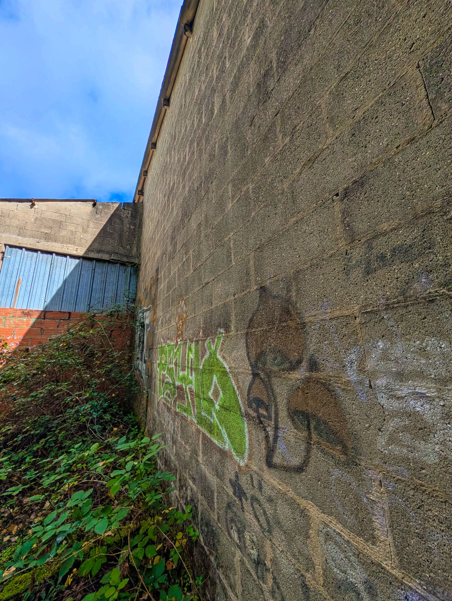 PXL 20251005 112515606