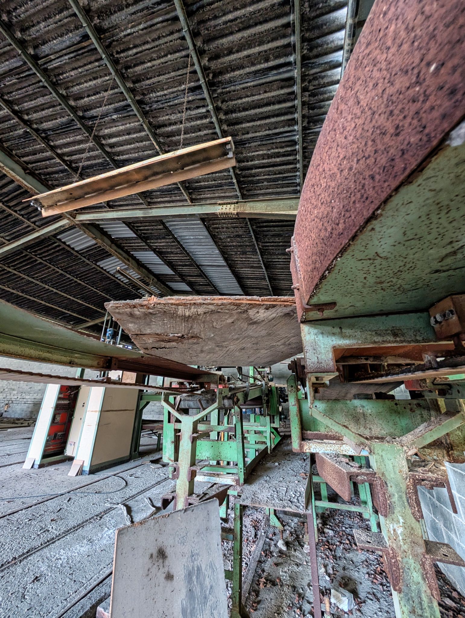 PXL 20251005 113555505