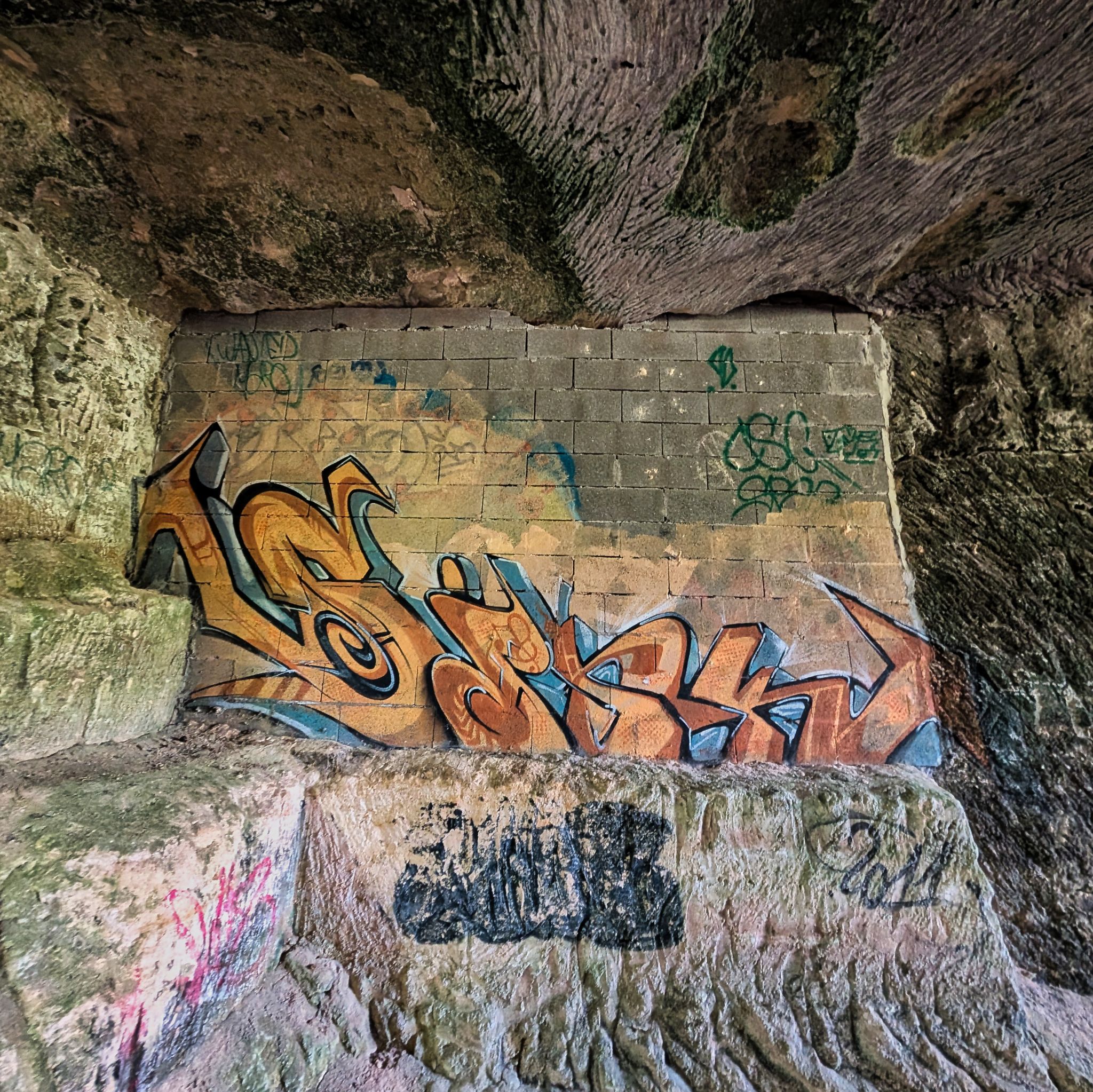 PXL 20250524 135830759