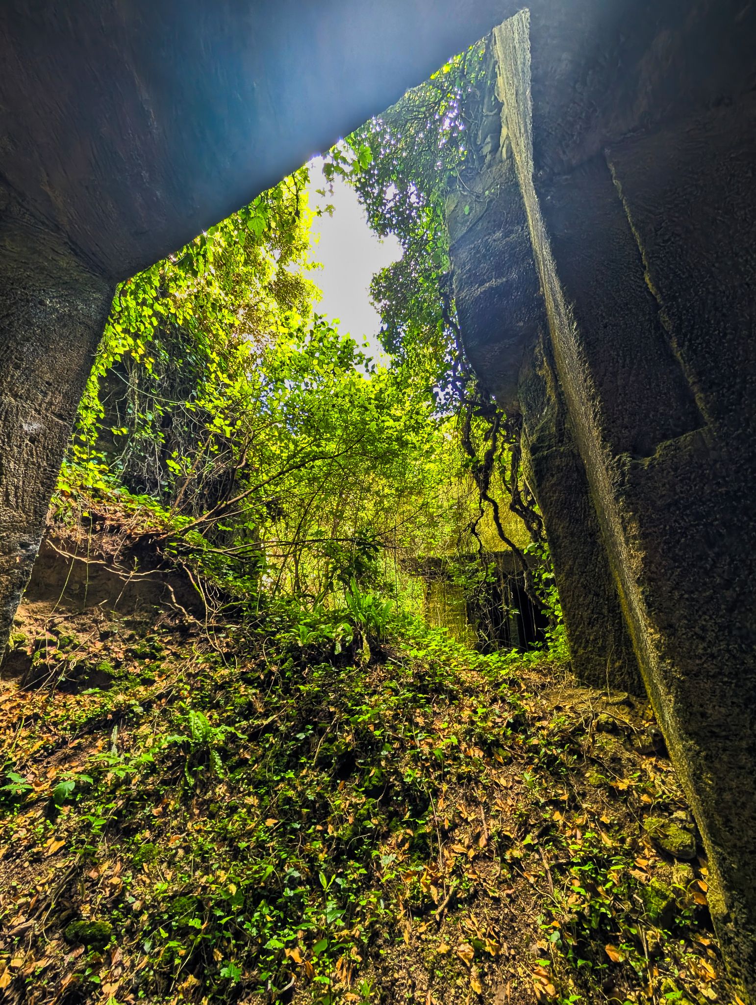 PXL 20250524 151553293