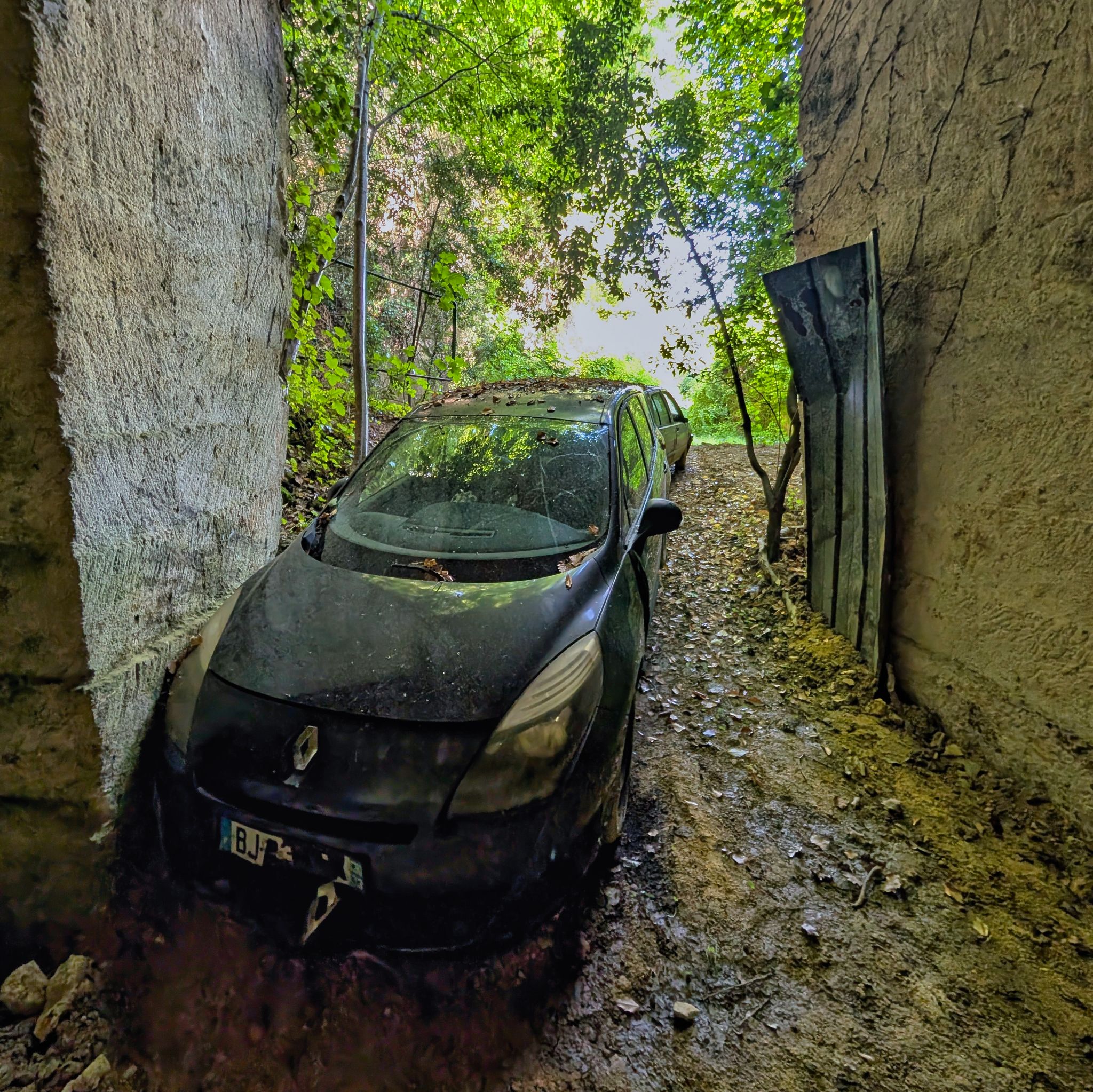 PXL 20250524 153626039