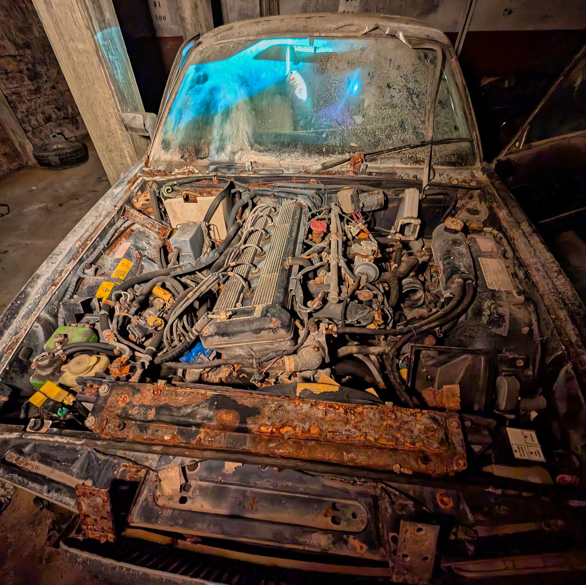 PXL 20250727 075517299