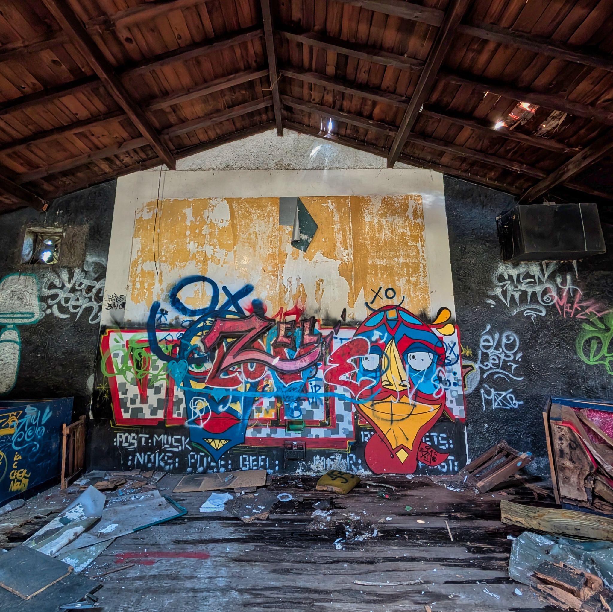 PXL 20250319 121308859