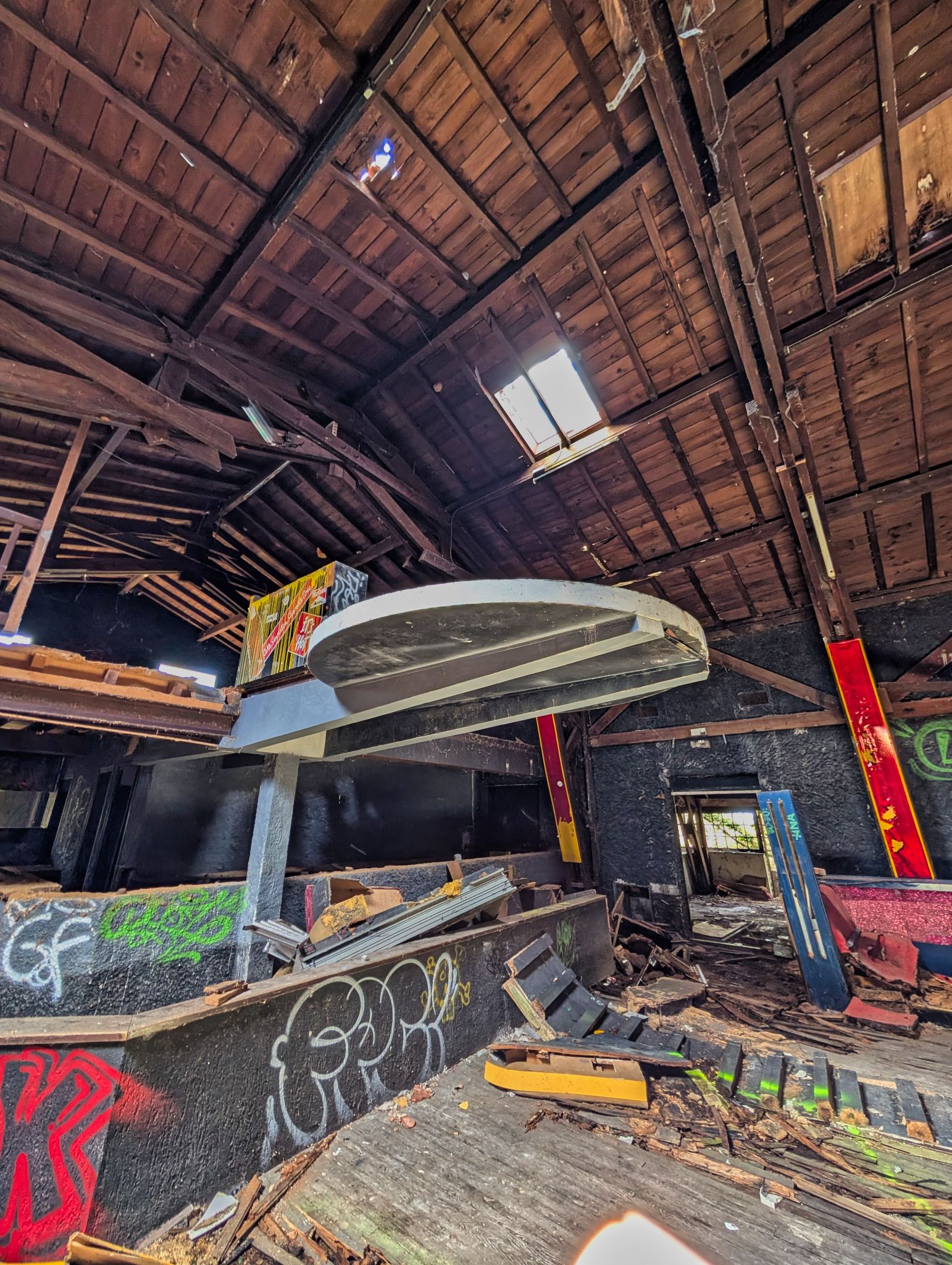 PXL 20250319 121430117