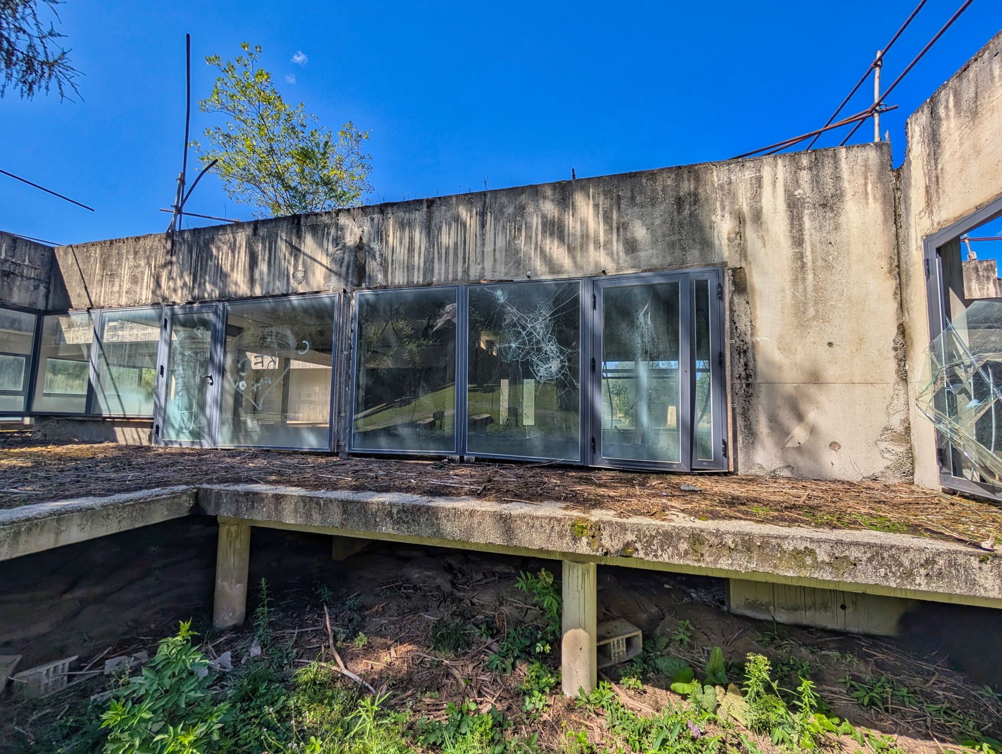 PXL 20250830 133526623