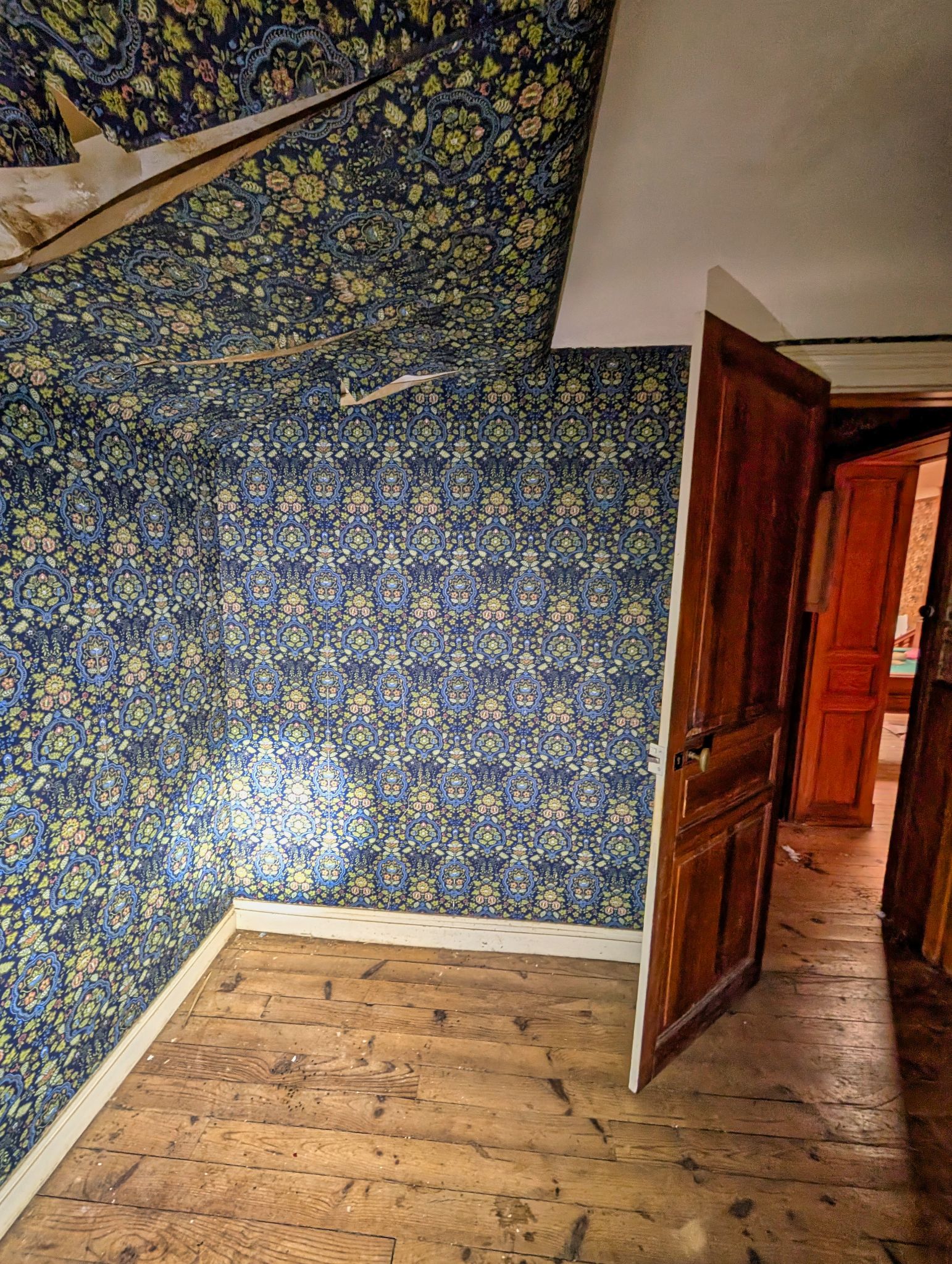 PXL 20250319 100408778