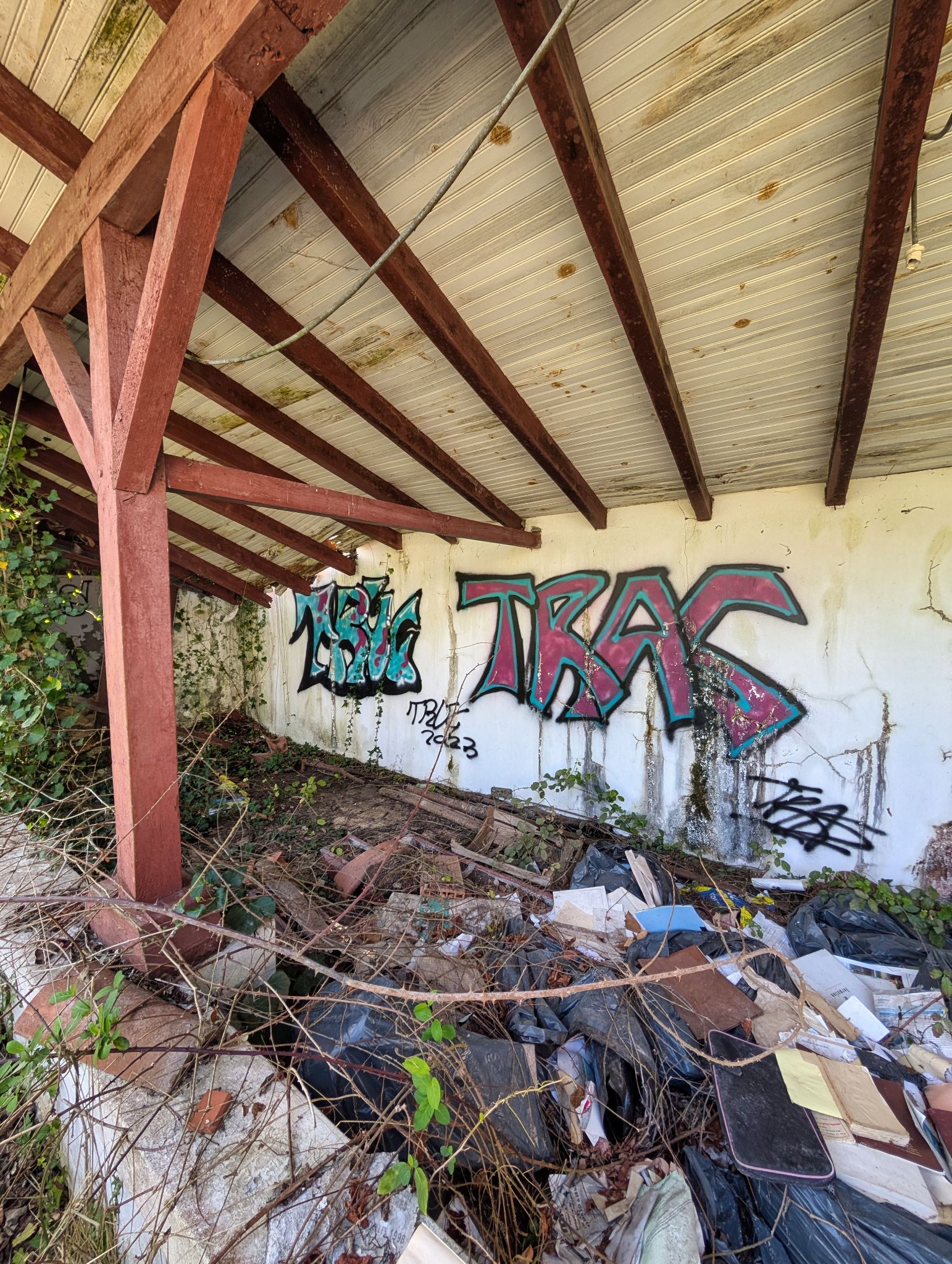 PXL 20250319 101128396