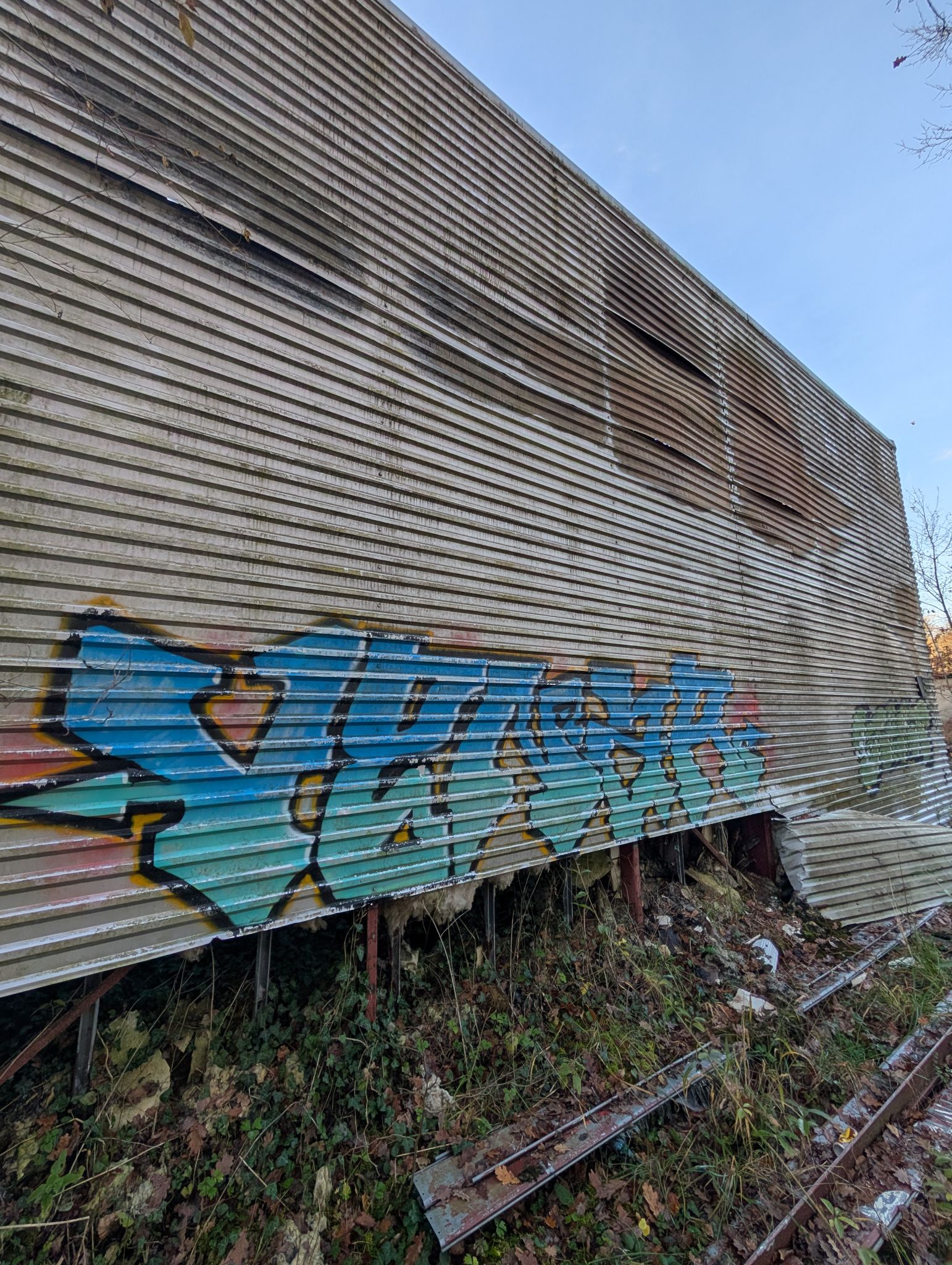 PXL 20251212 151534420