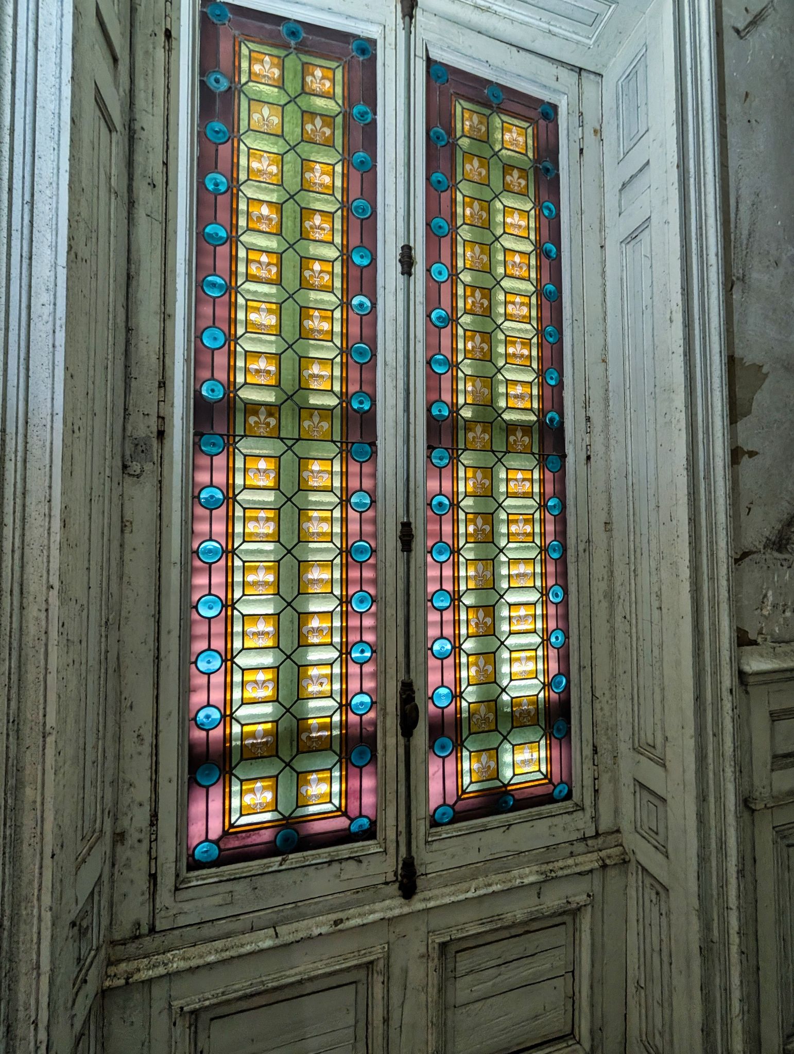 PXL 20250119 132144819