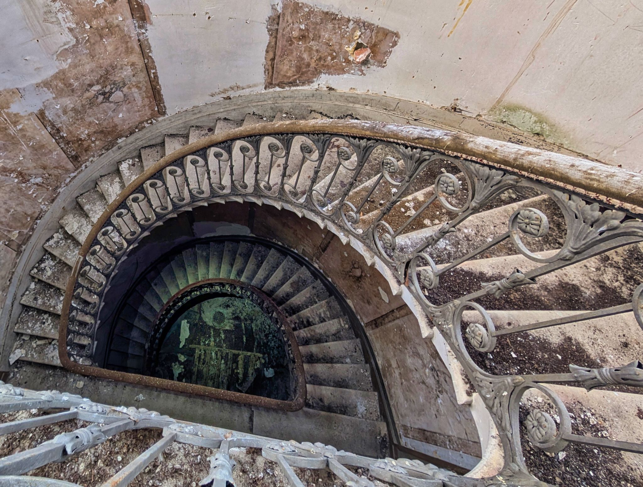 PXL 20250119 133658386