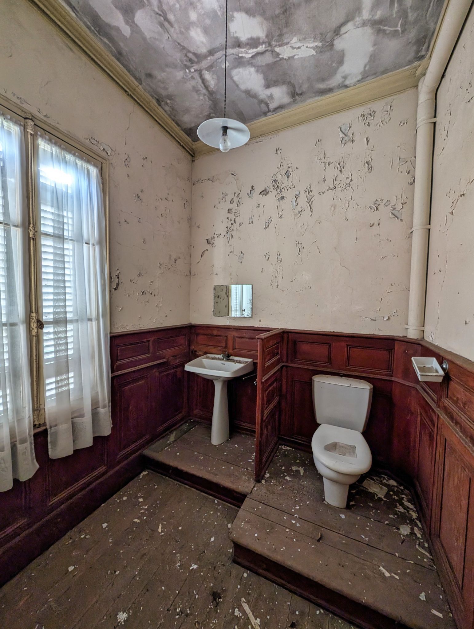 PXL 20250119 134709080