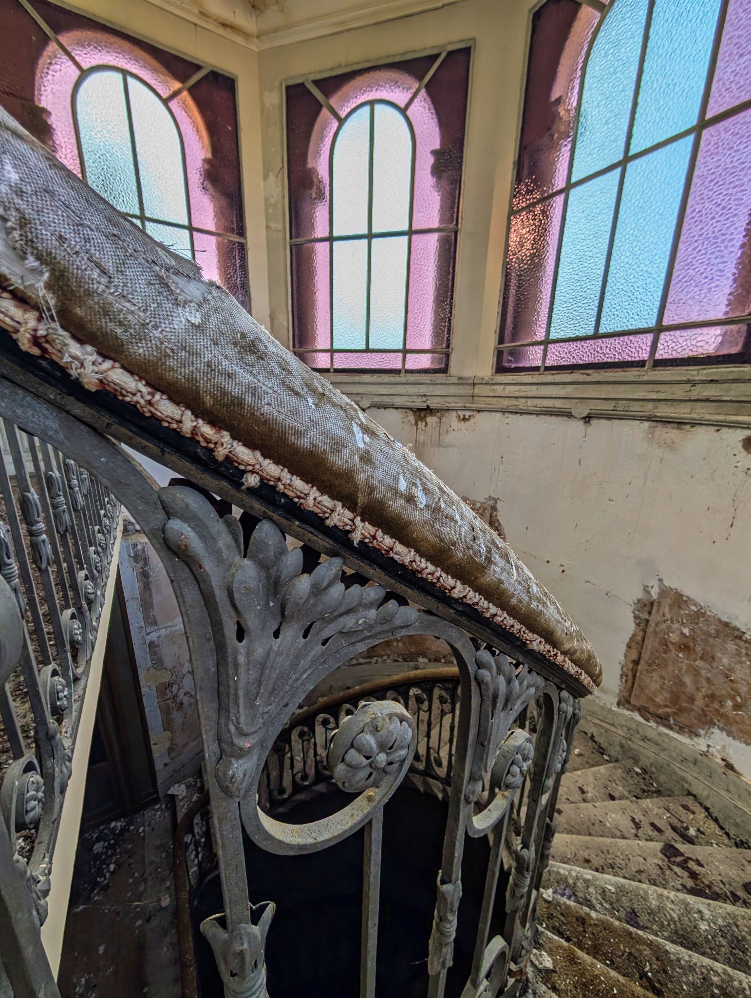 PXL 20250119 135651939