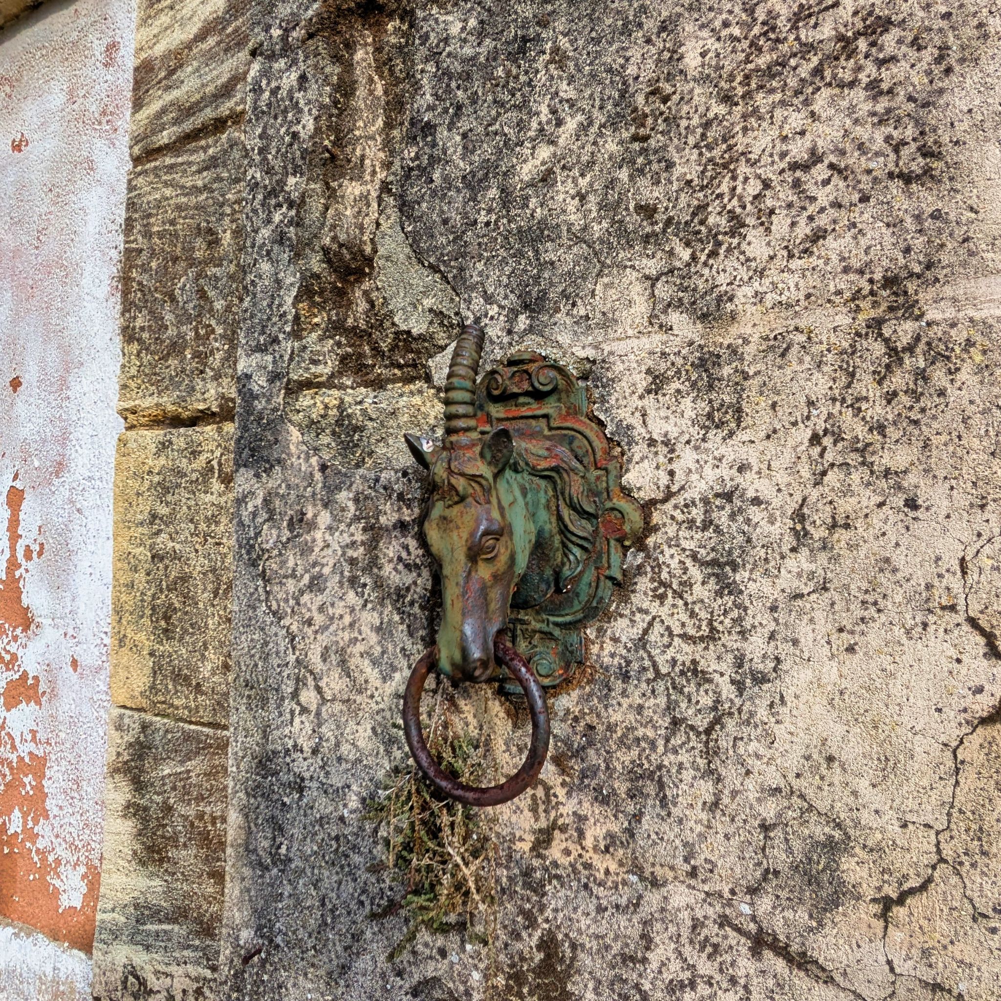 PXL 20250119 141529598