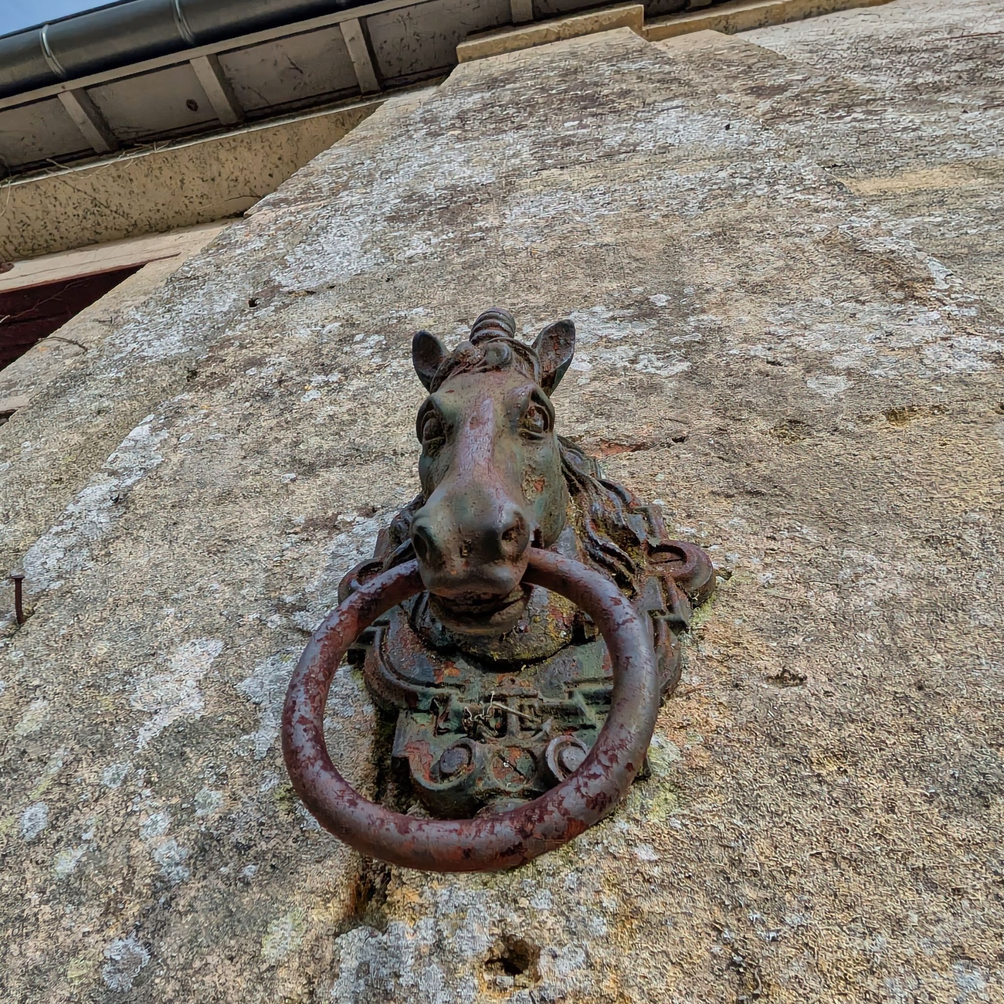 PXL 20250119 141544920