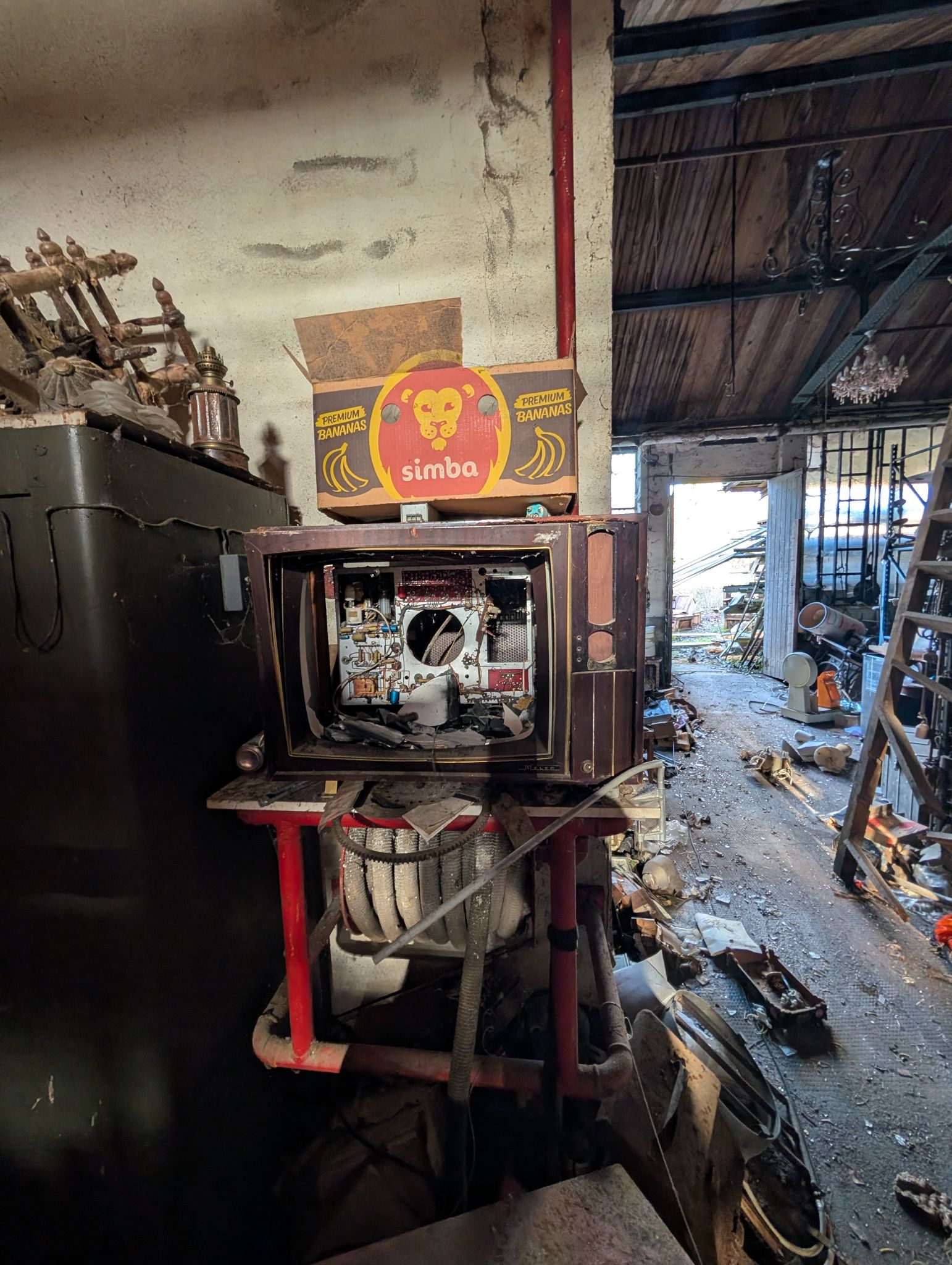 PXL 20251212 130724651