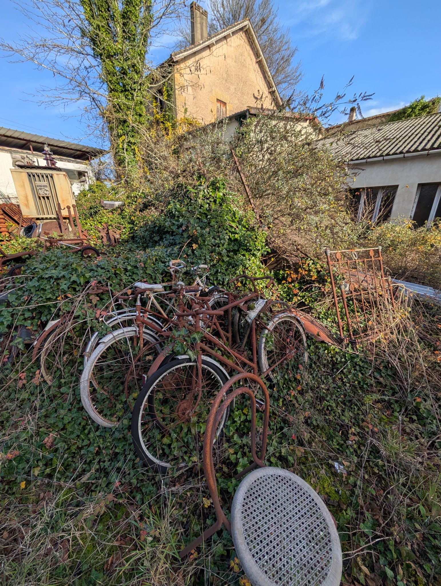 PXL 20251212 131548372.MP