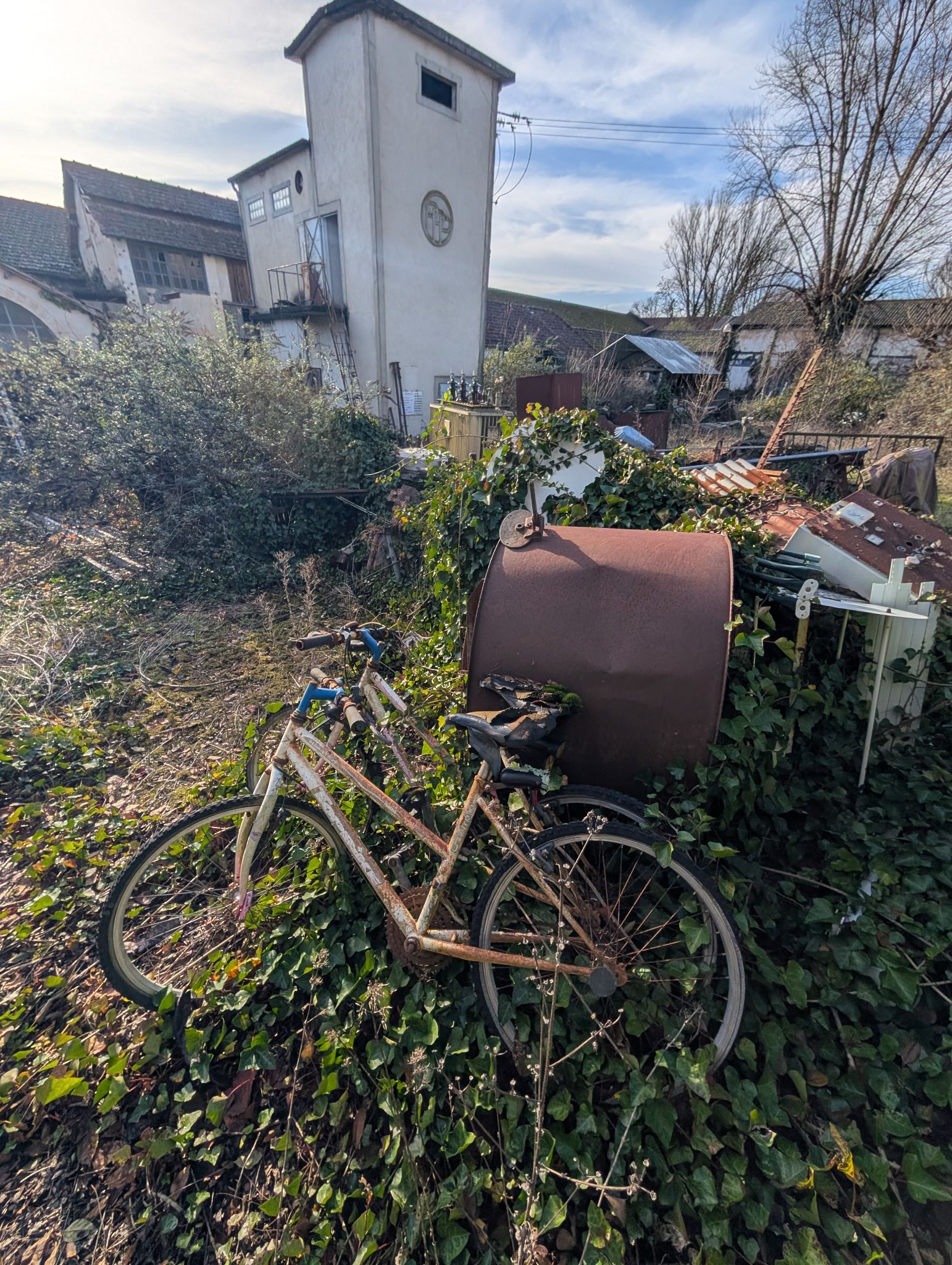 PXL 20251212 131731444