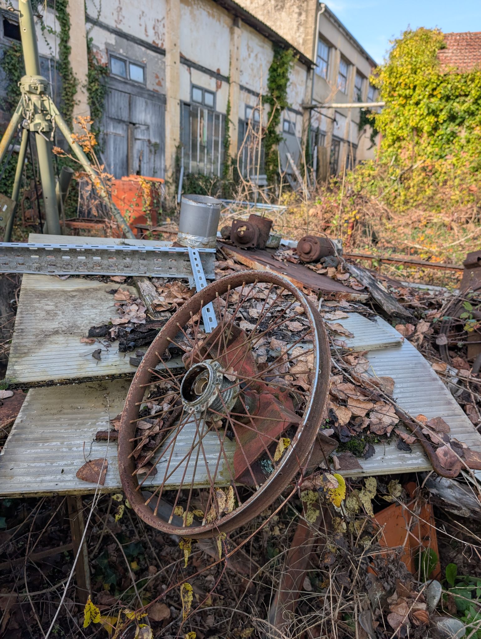 PXL 20251212 131929652