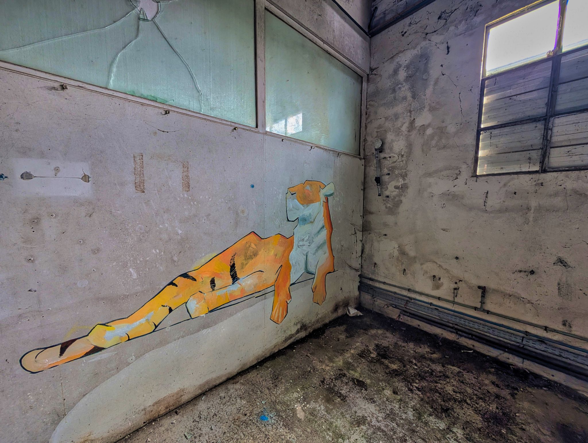 PXL 20250413 134136144