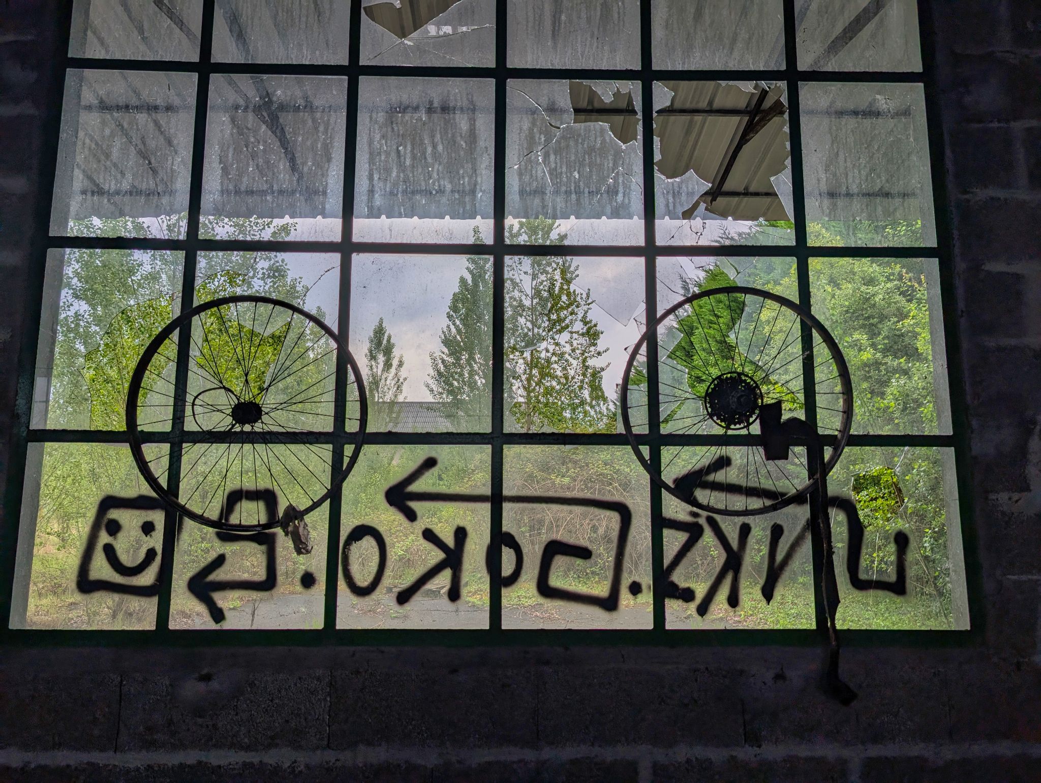 PXL 20250427 091421689