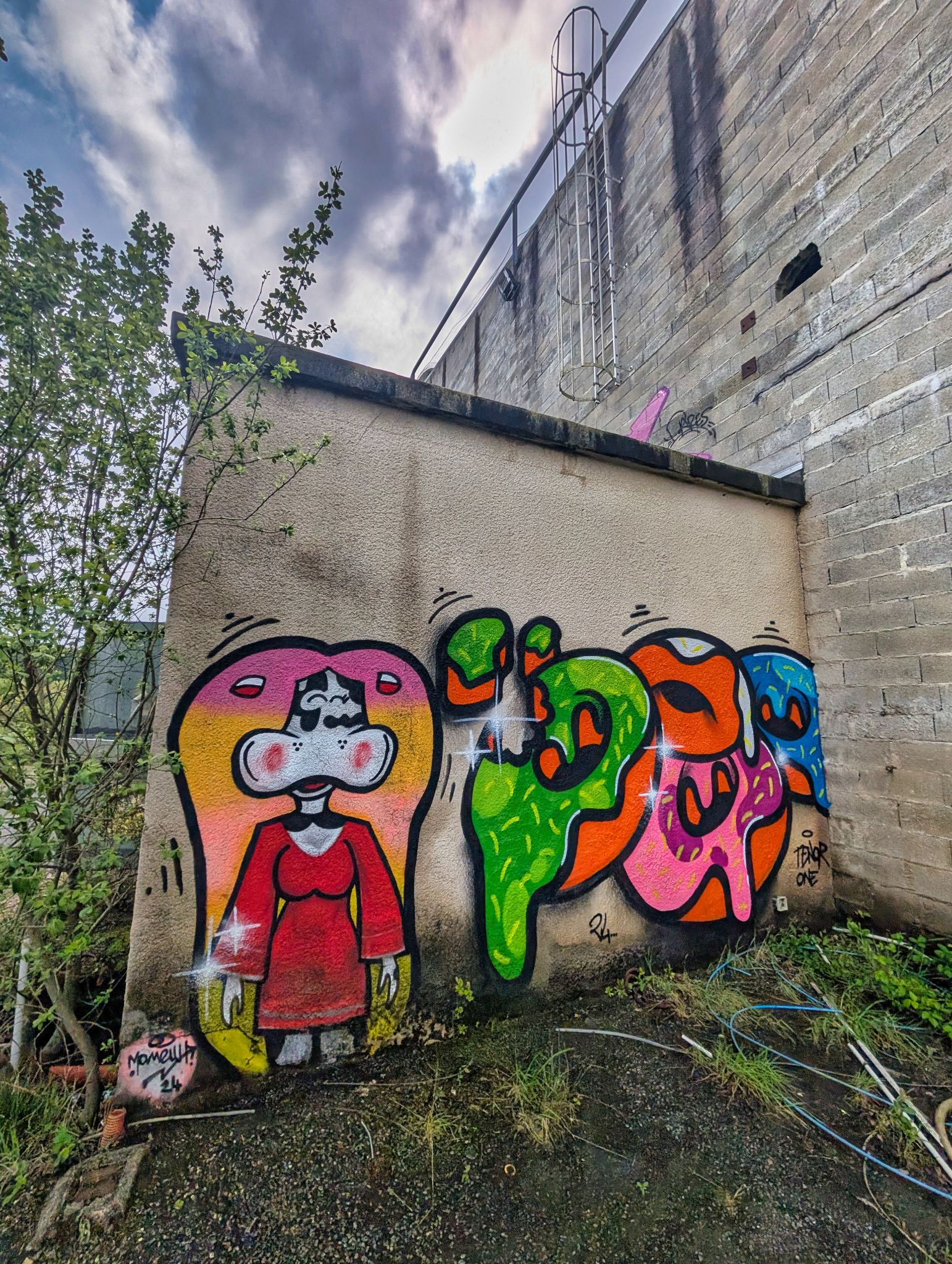 PXL 20250427 102351600.MP