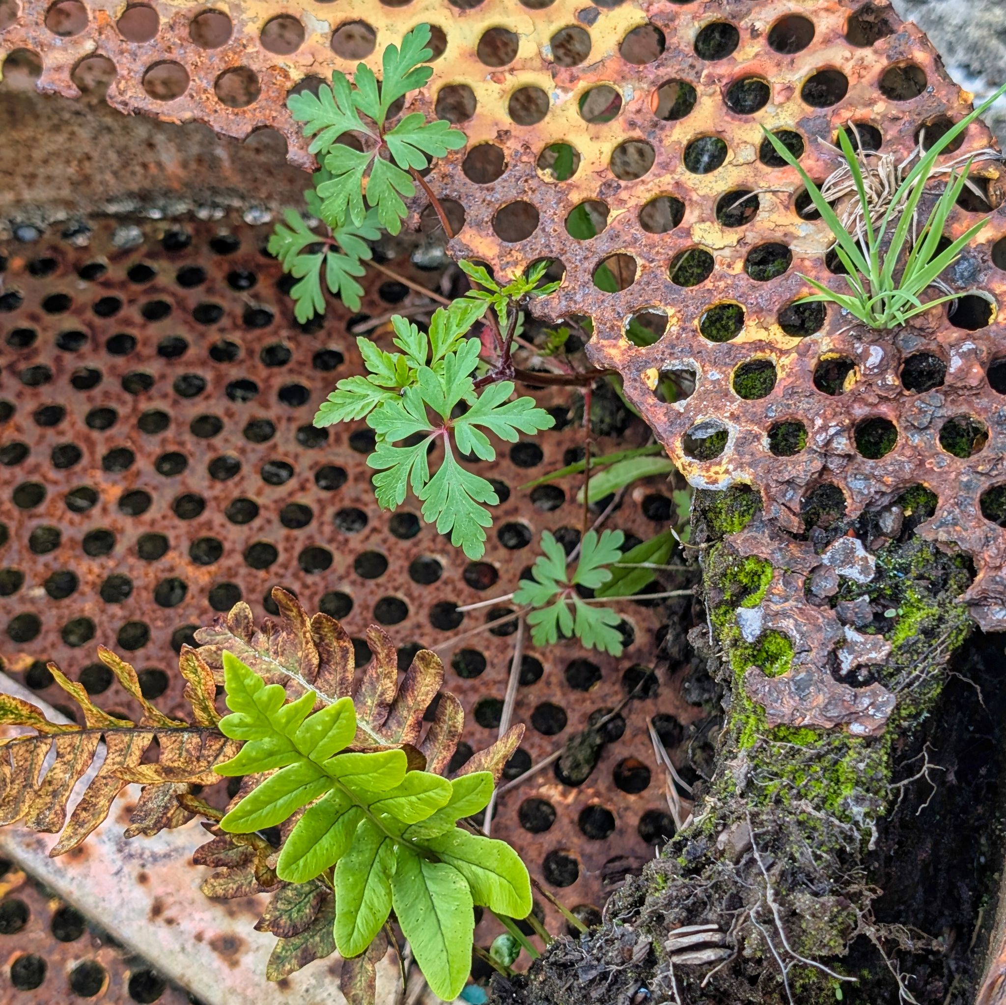 PXL 20250427 125625739