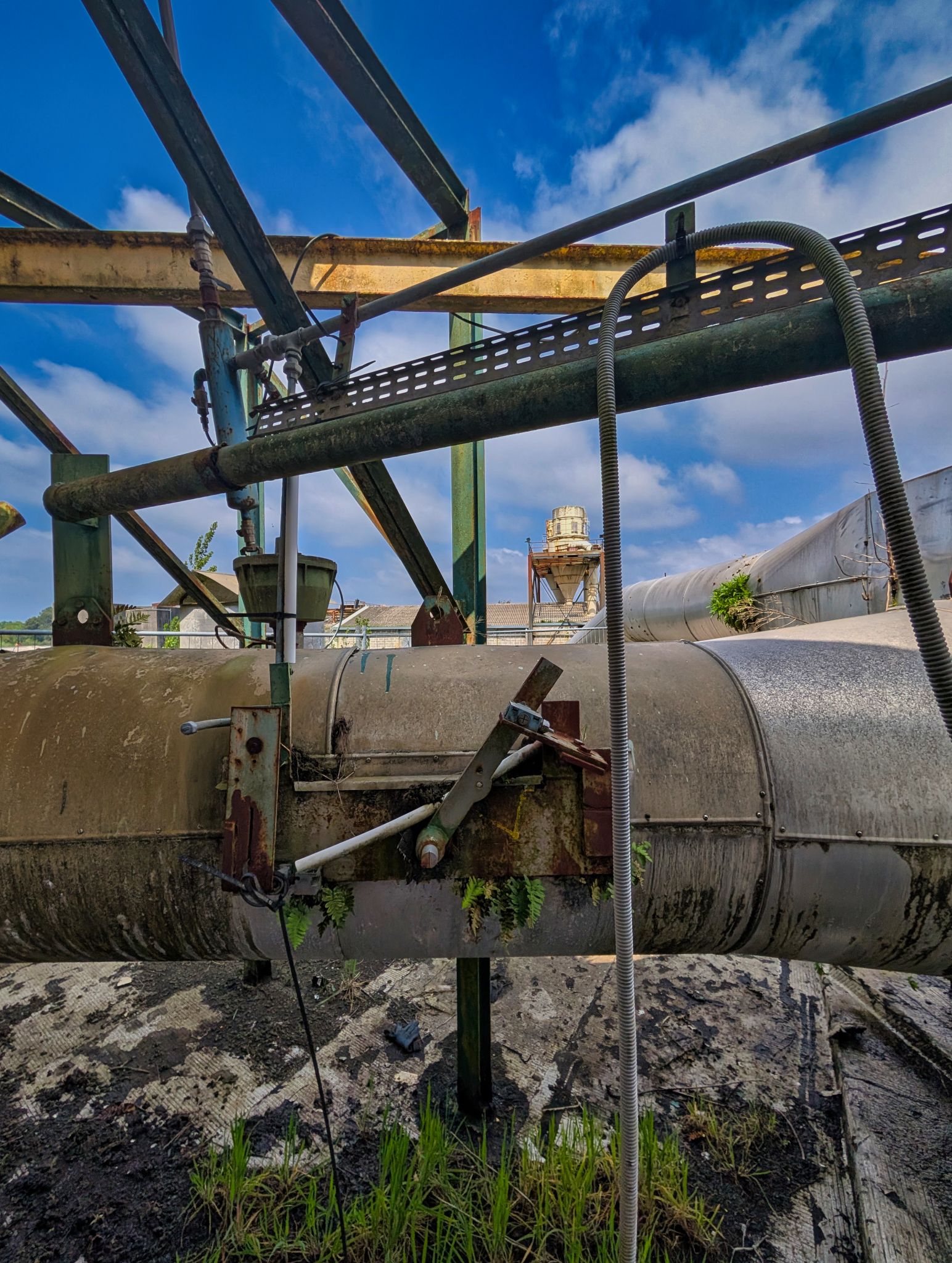 PXL 20250427 125653262