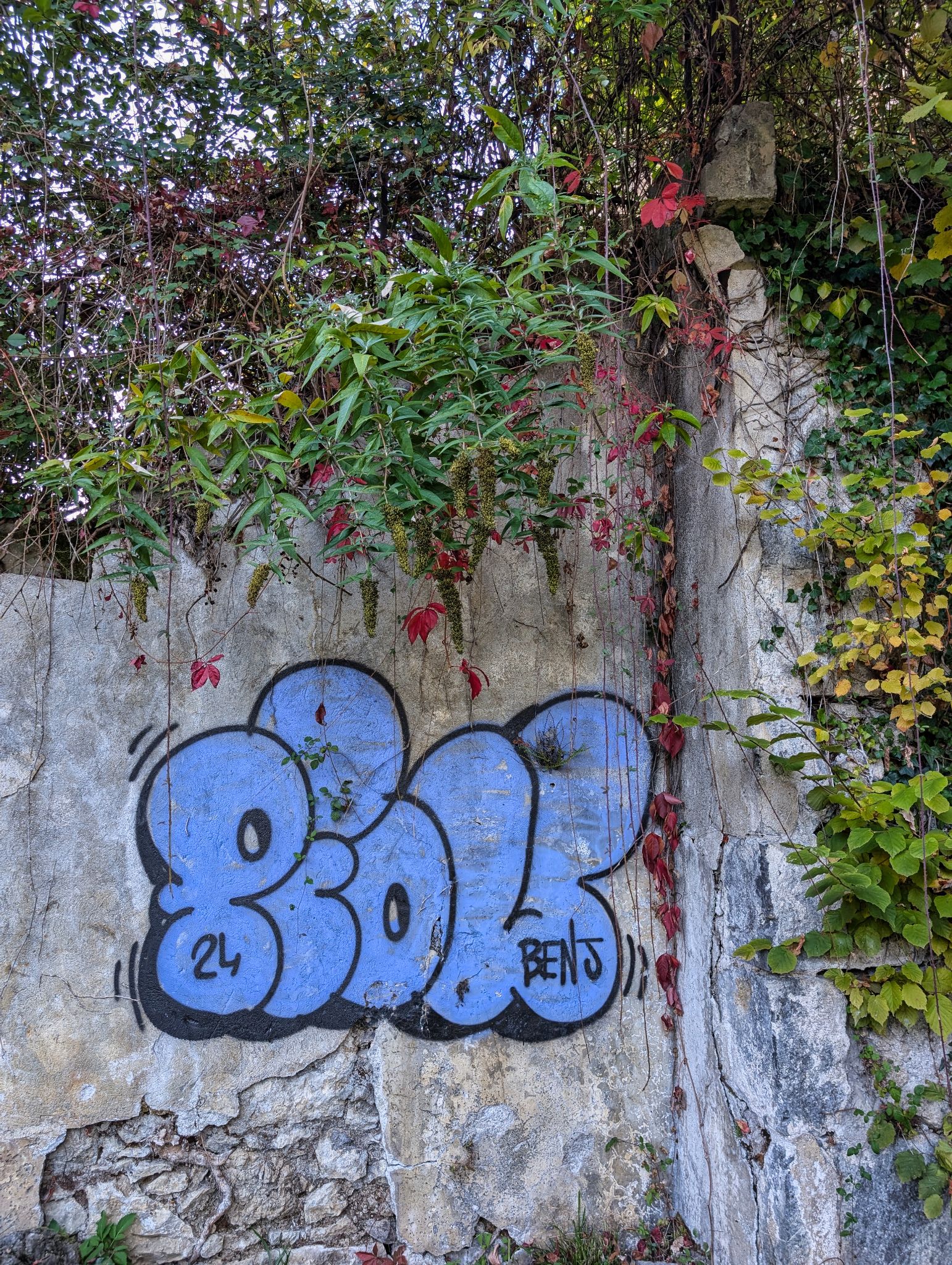 PXL 20251012 135902789.MP