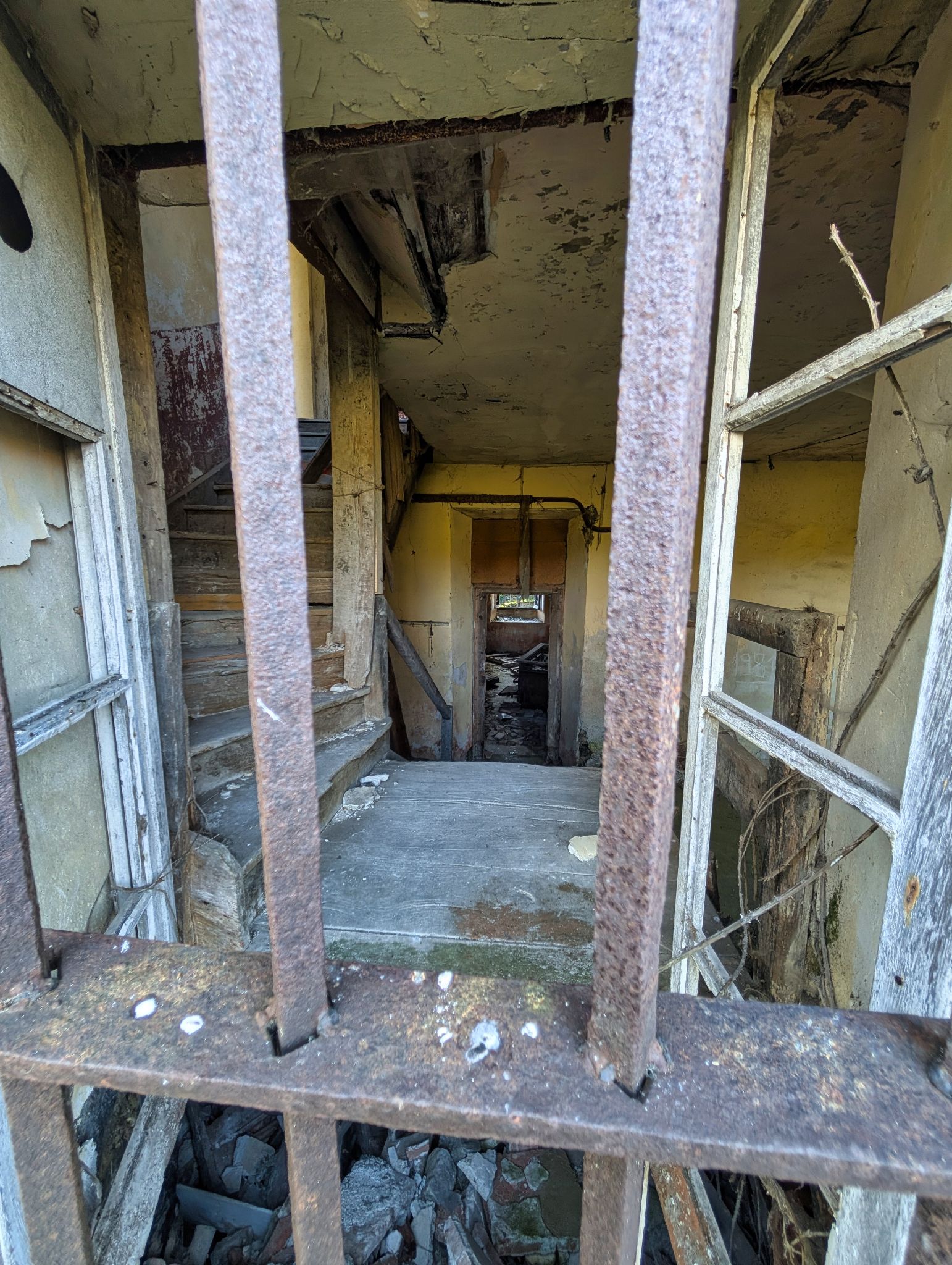 PXL 20251012 140419393