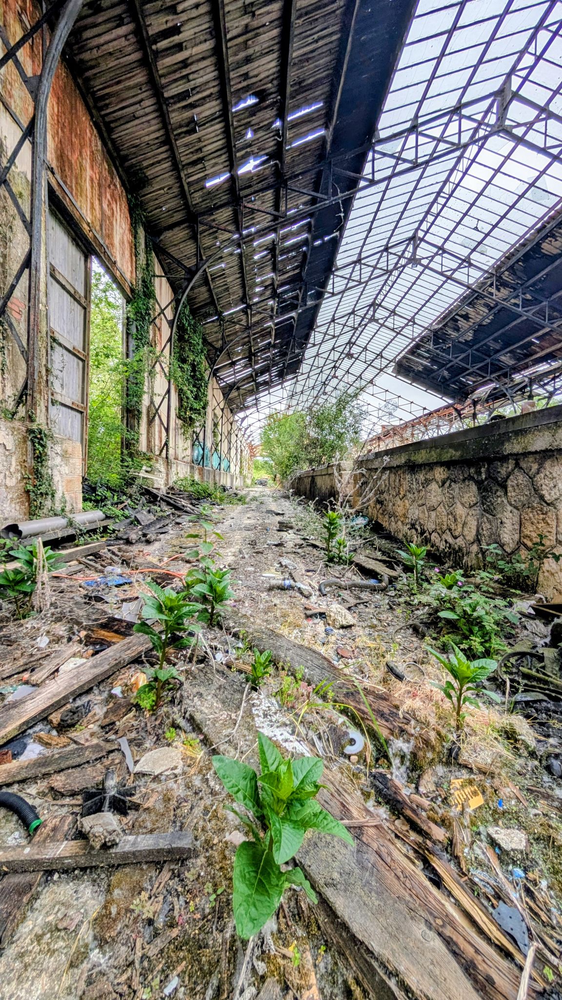 PXL 20260425 120331424~2