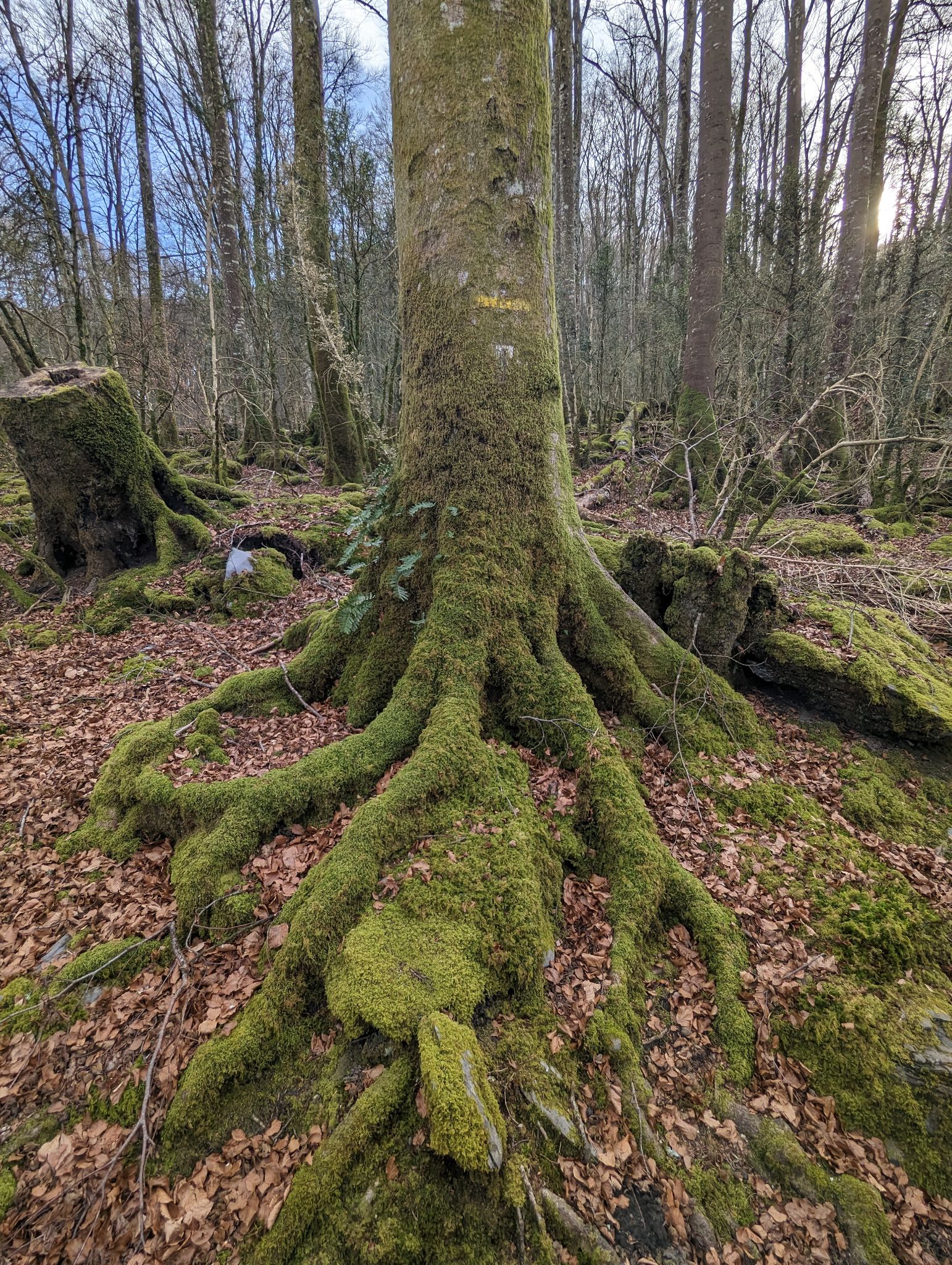 PXL 20240128 140745289