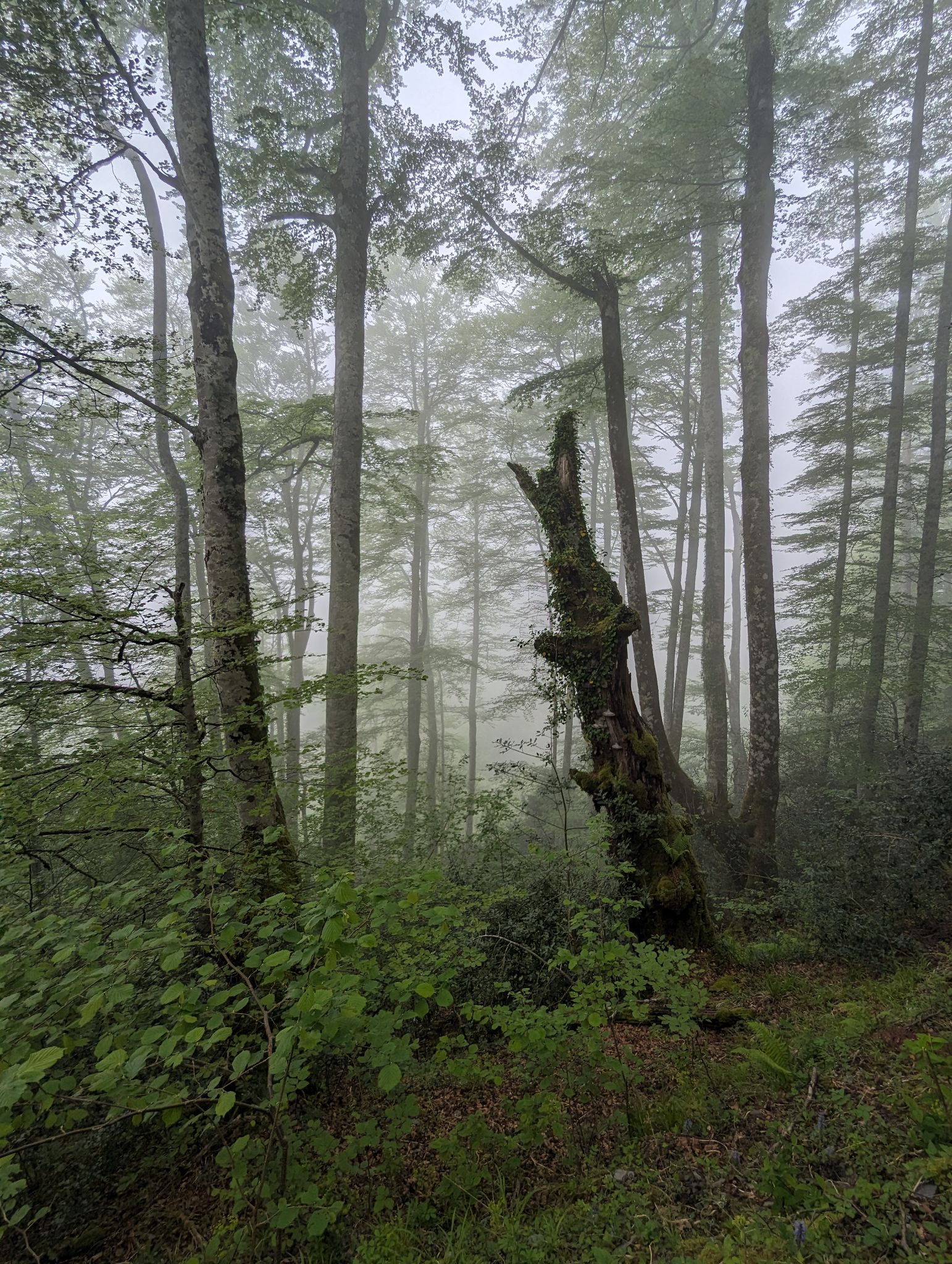 PXL 20240512 103923019